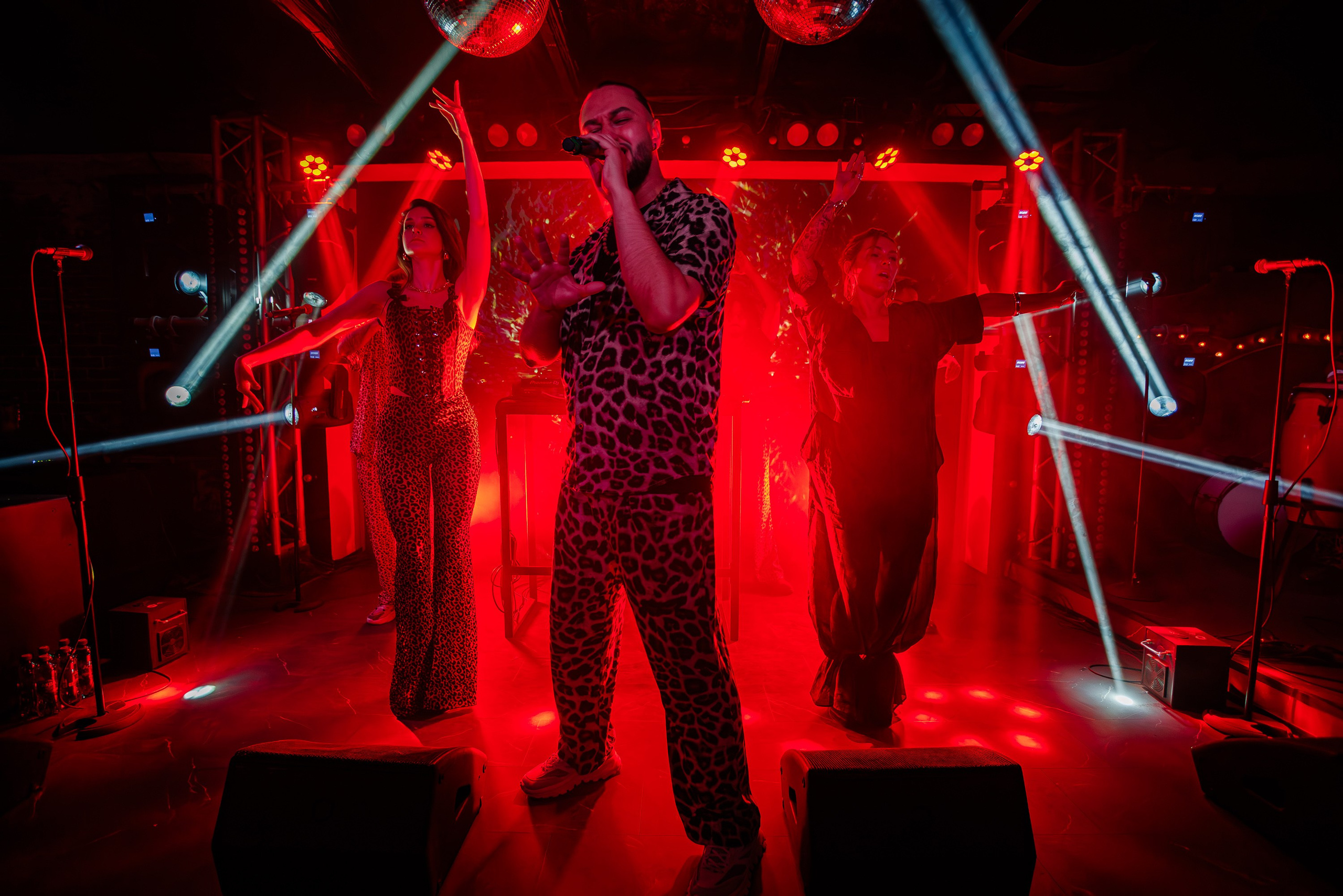 «LIZWI"_Чайка на пляже_Ялта_7.06.2025. Аминов Руслан | Фотограф