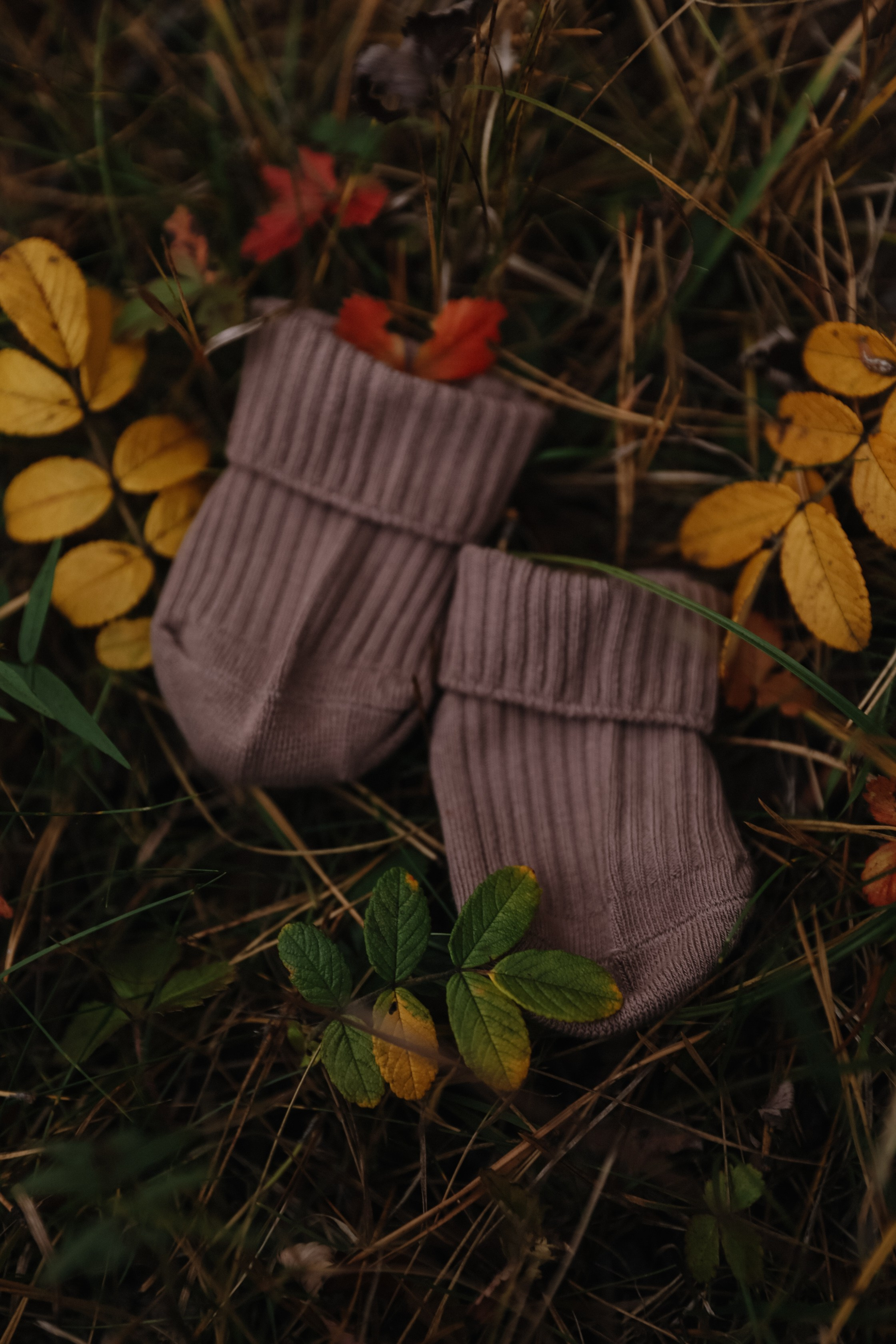 Алина. Свадебный и семейный фотограф в городе Пенза, Саранск, Ковылкино