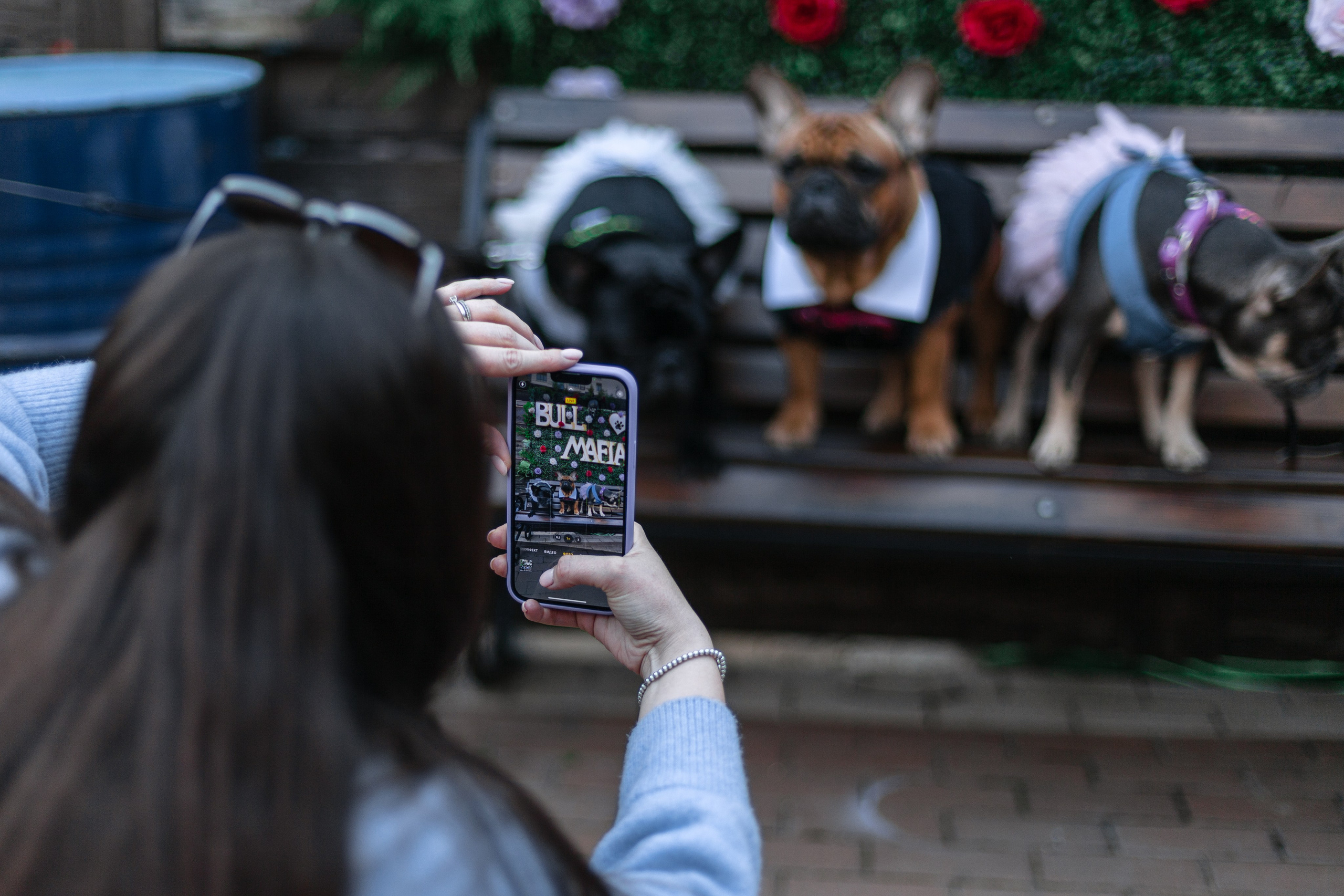 Бульбалл 23.04.2023. Фотограф-анималист Татьяна Степанова