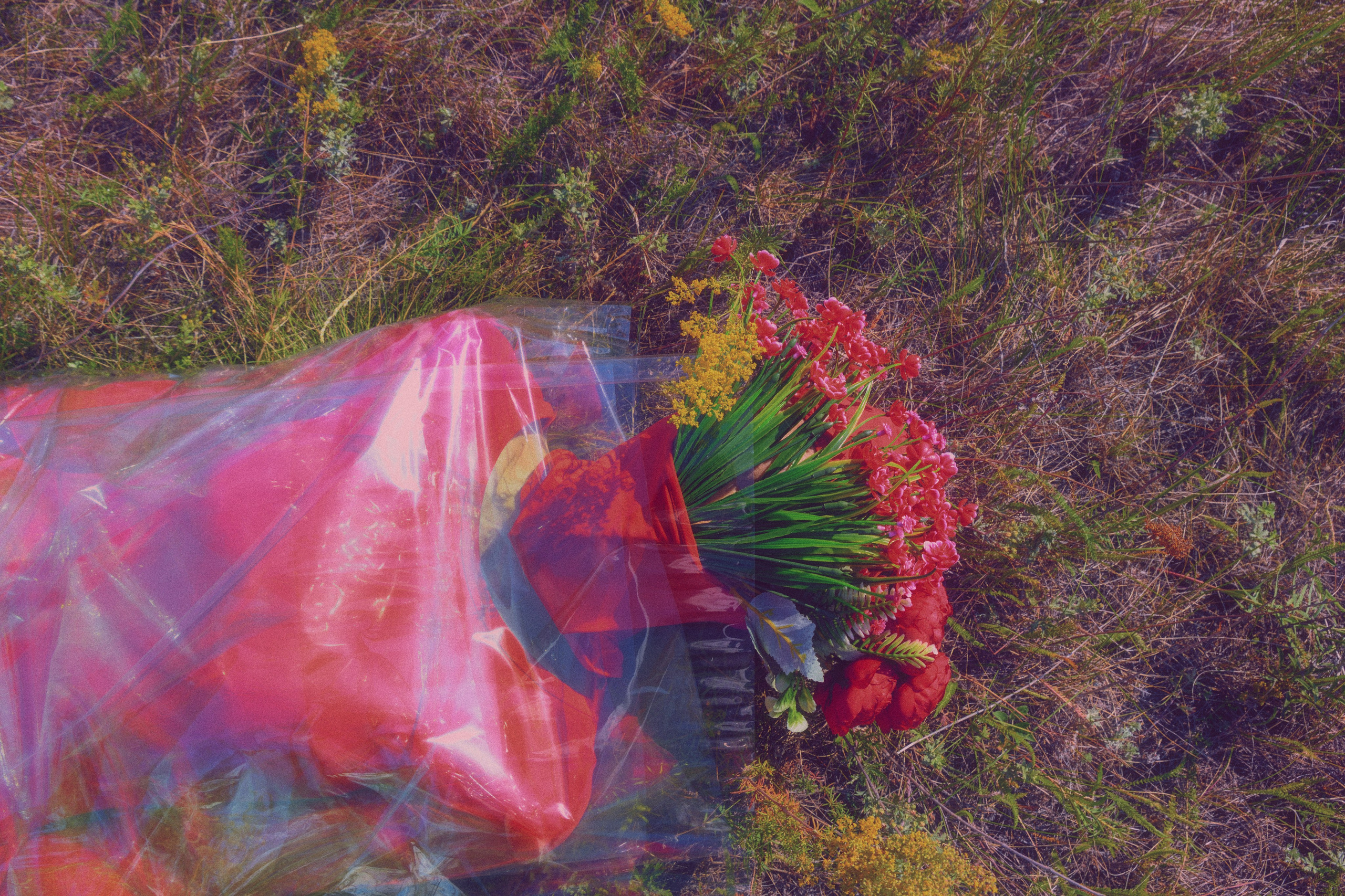 TERRA NOSTRA. Yulia Yurchevskaya | Art Director & Visual Visionary
