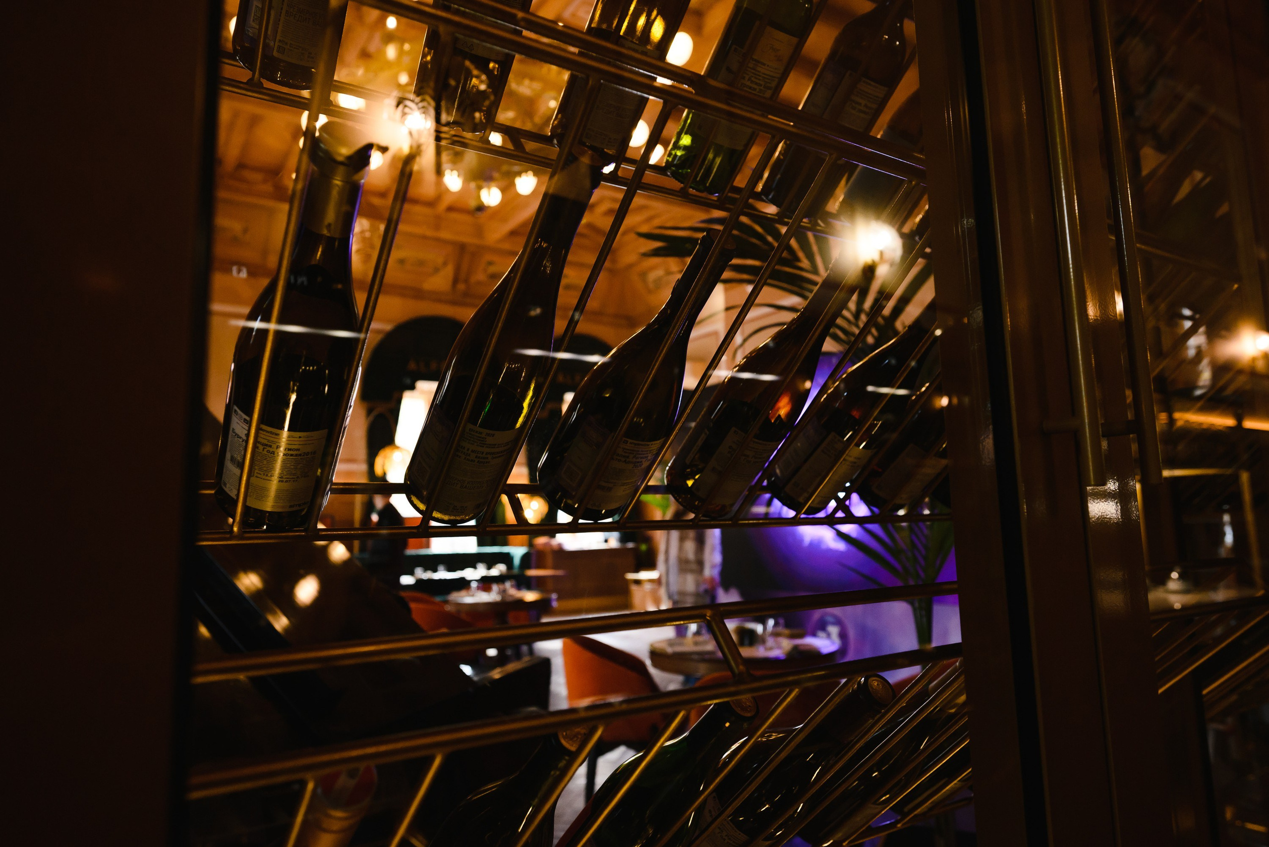 Презентация нового сезона Телеканала ТВ3