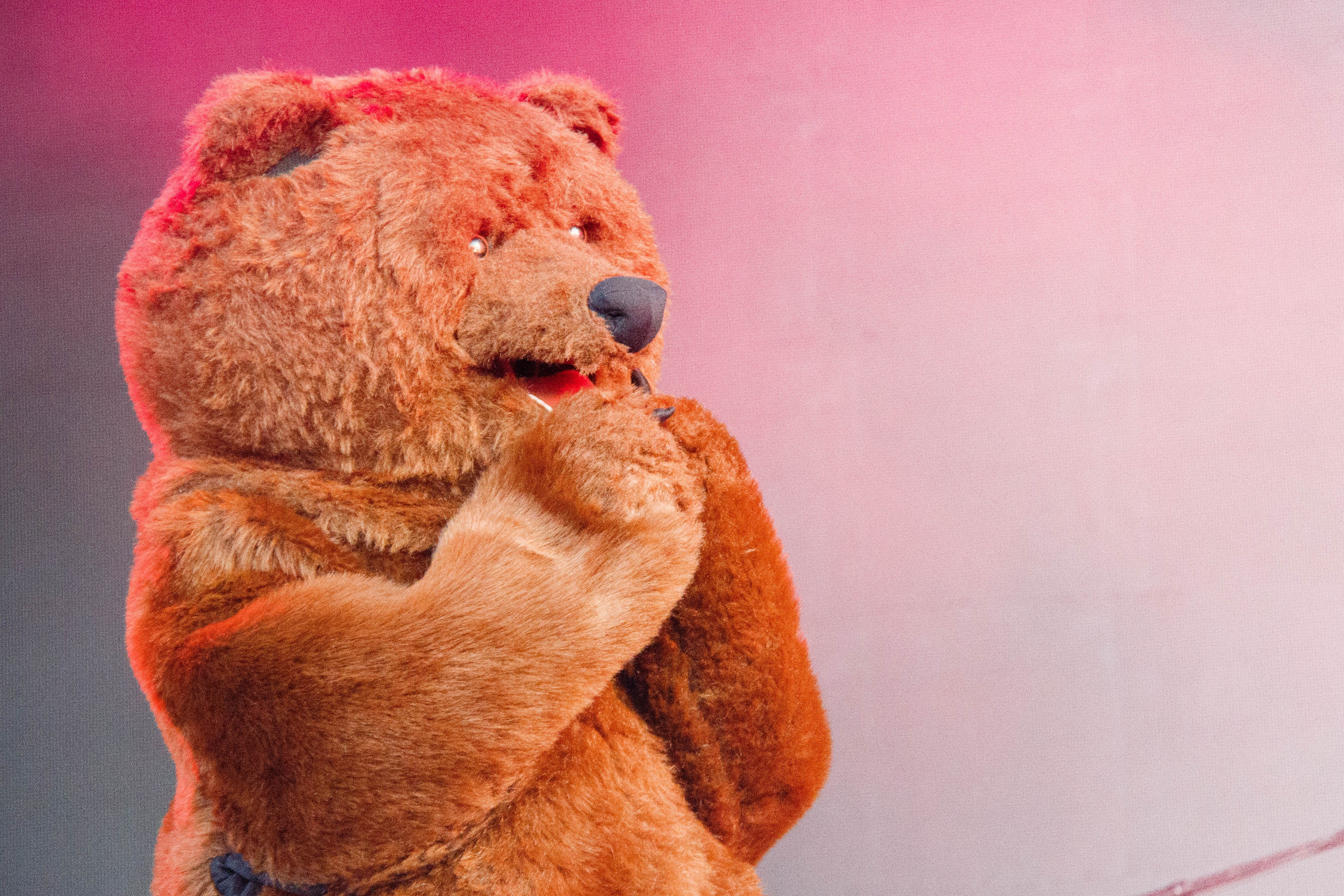 Нейромонах Феофан, «Воздух Карелии» 2025. Event-фотограф Болотнова Елена