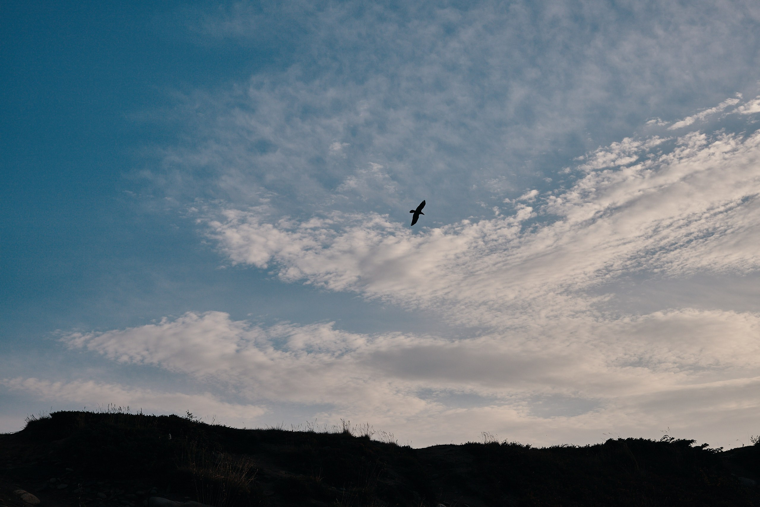 Рыбачий 2023. Место силы. Фотограф Валерий Сабрам