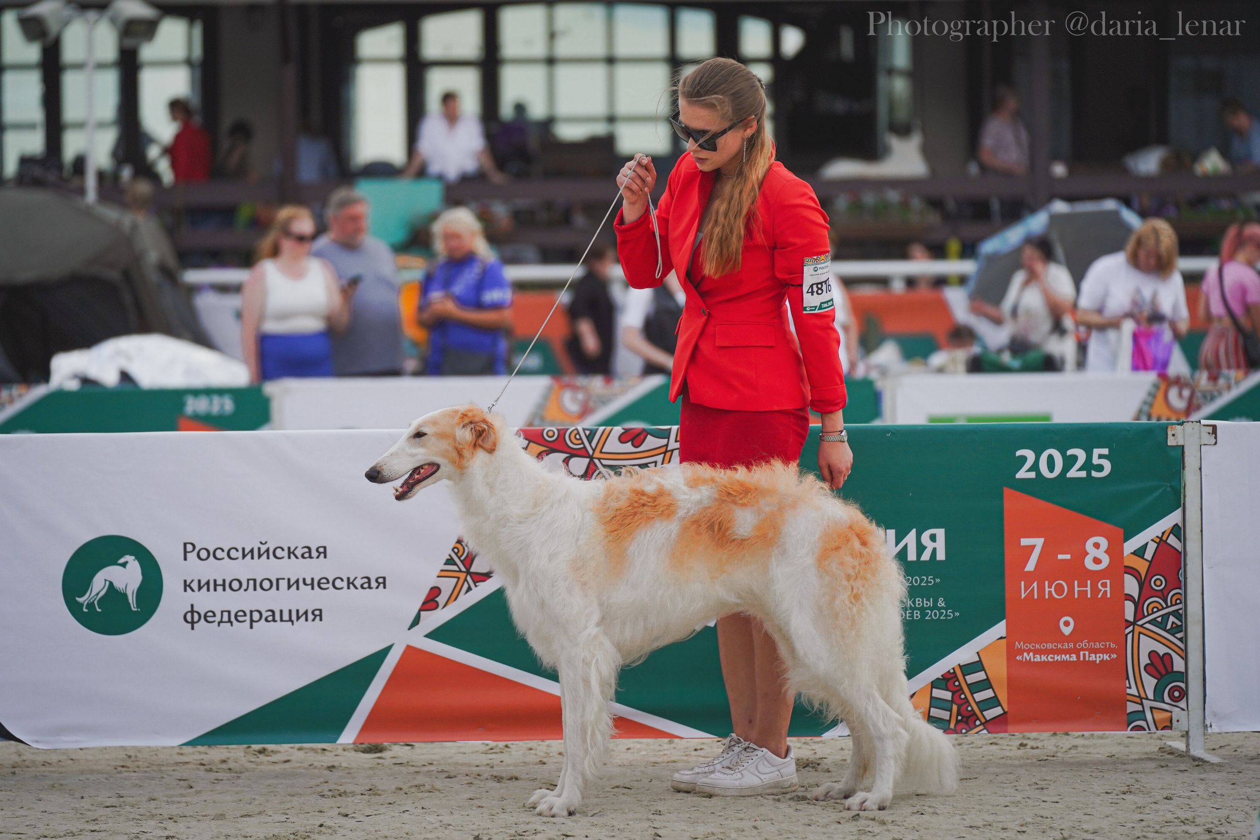 Выставки собак. Фотограф в Москве Ленарская Дарья