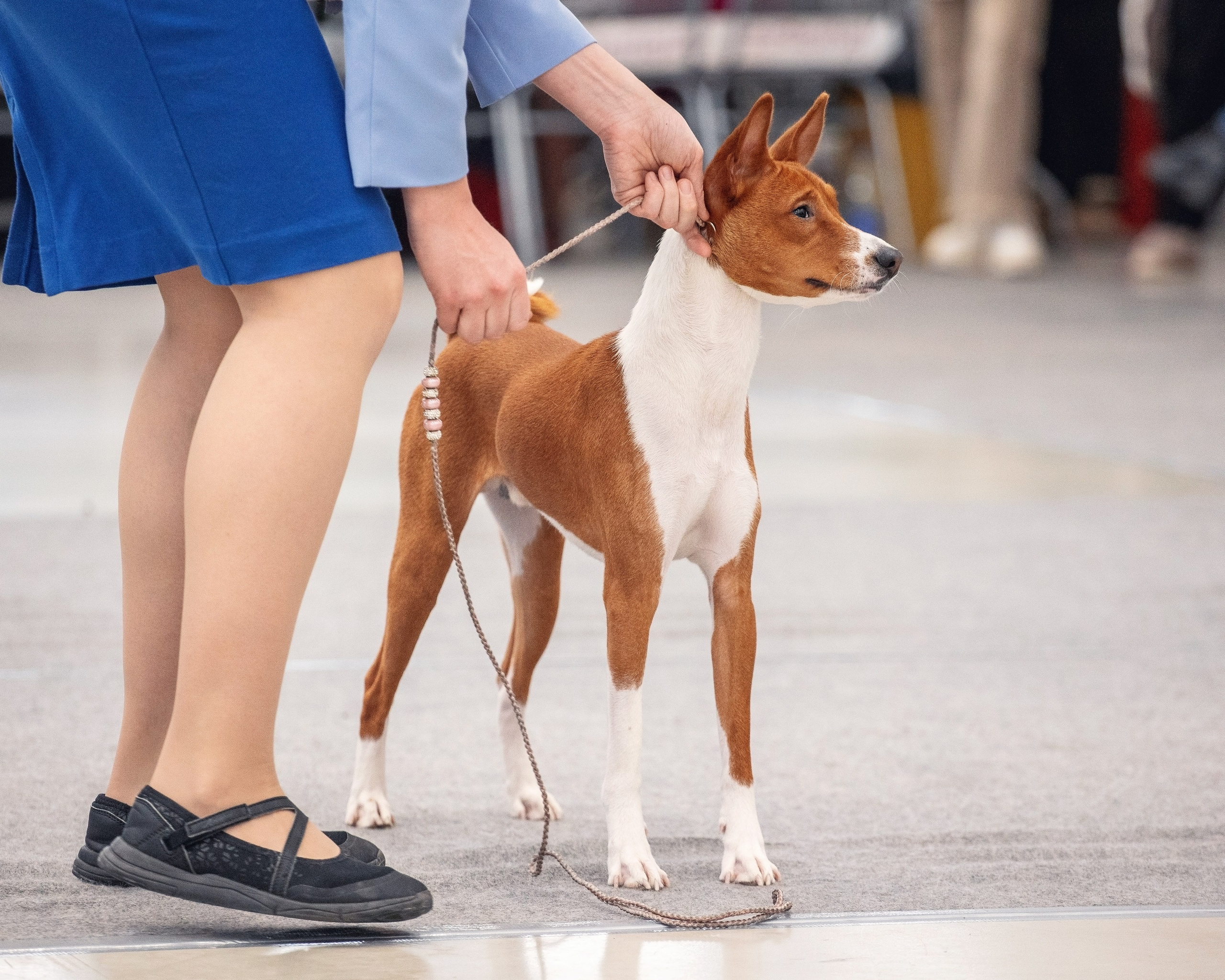 20.01. 2024 Тюмень. YULA KOLESOVA | Фотограф — Анималист | Художник | Тюмень