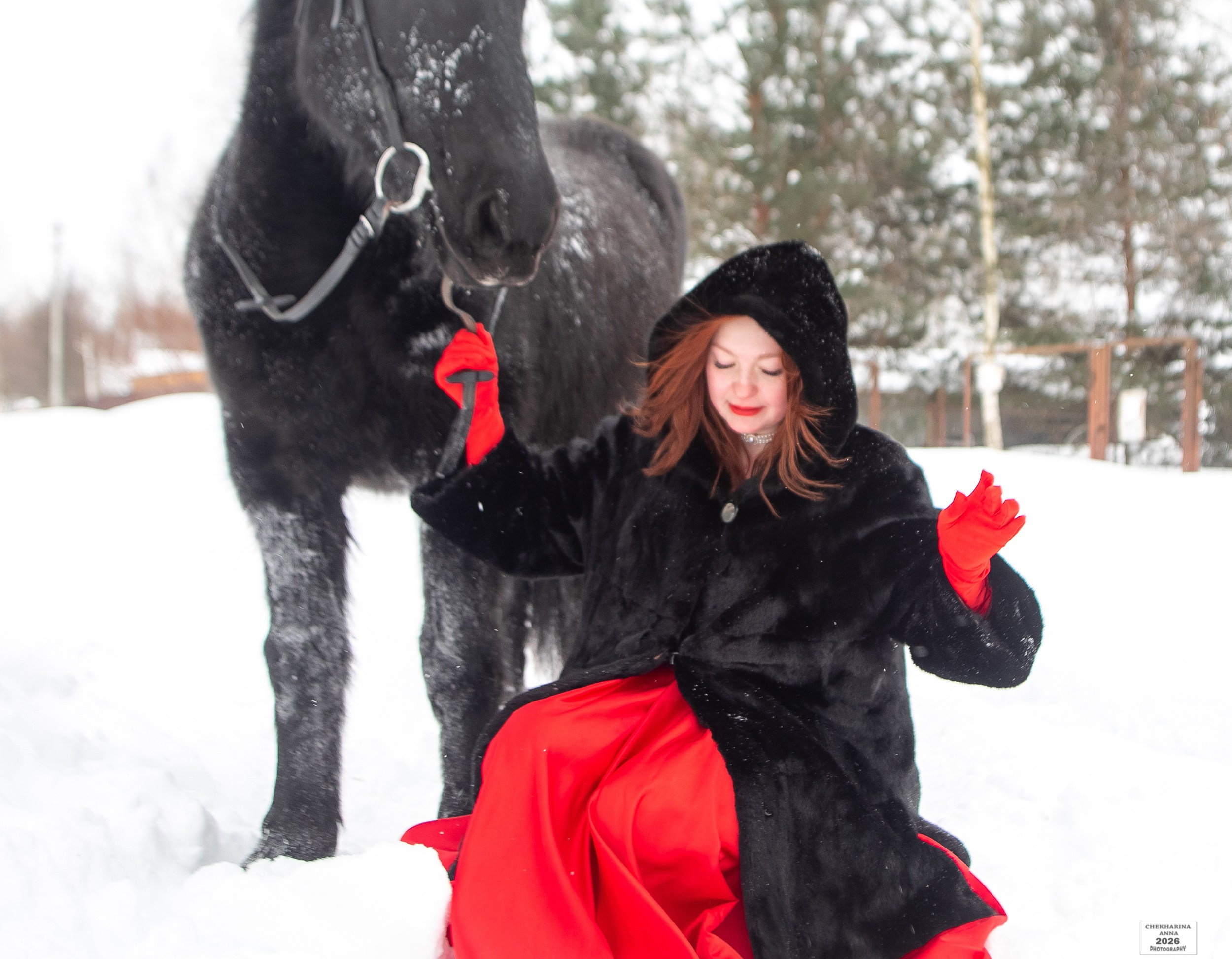 Фотосессии с лошадьми. Профессиональный фотограф Чехарина Анна / pro photographer Chekharina