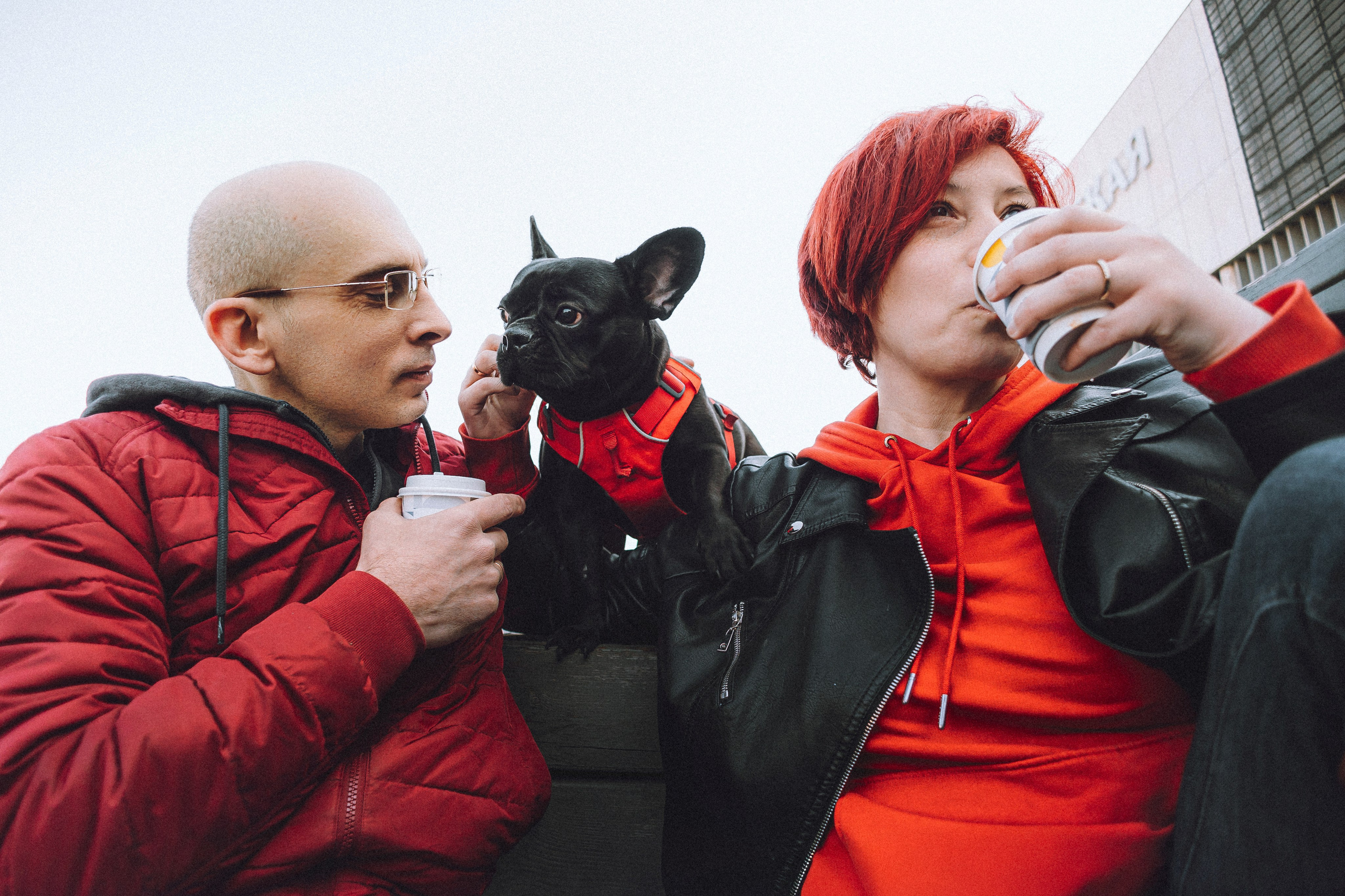 Саша, Дима и Шпуля