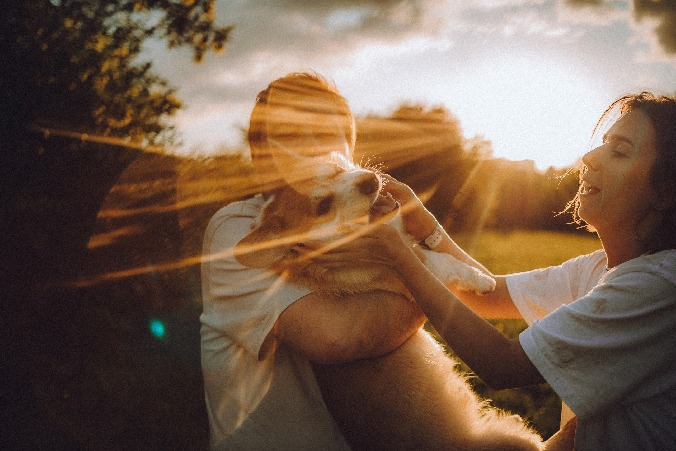 Вирджик и его семья