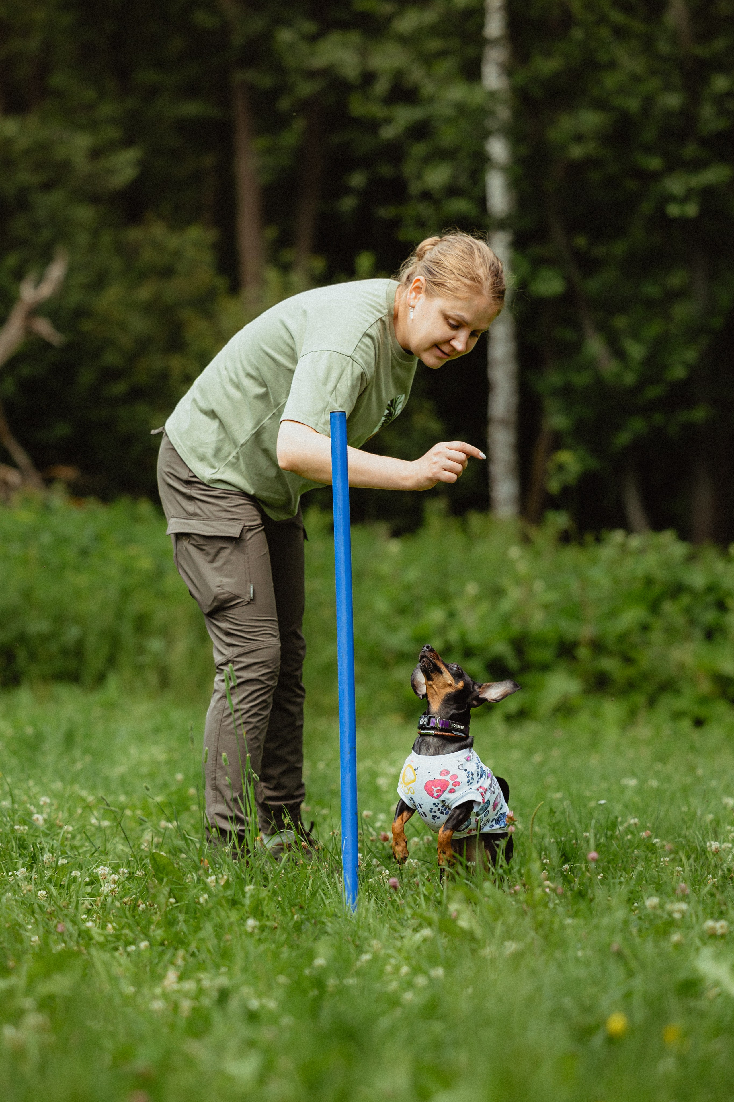 Выездной дог-тренинг от школы «Шерсть имею»