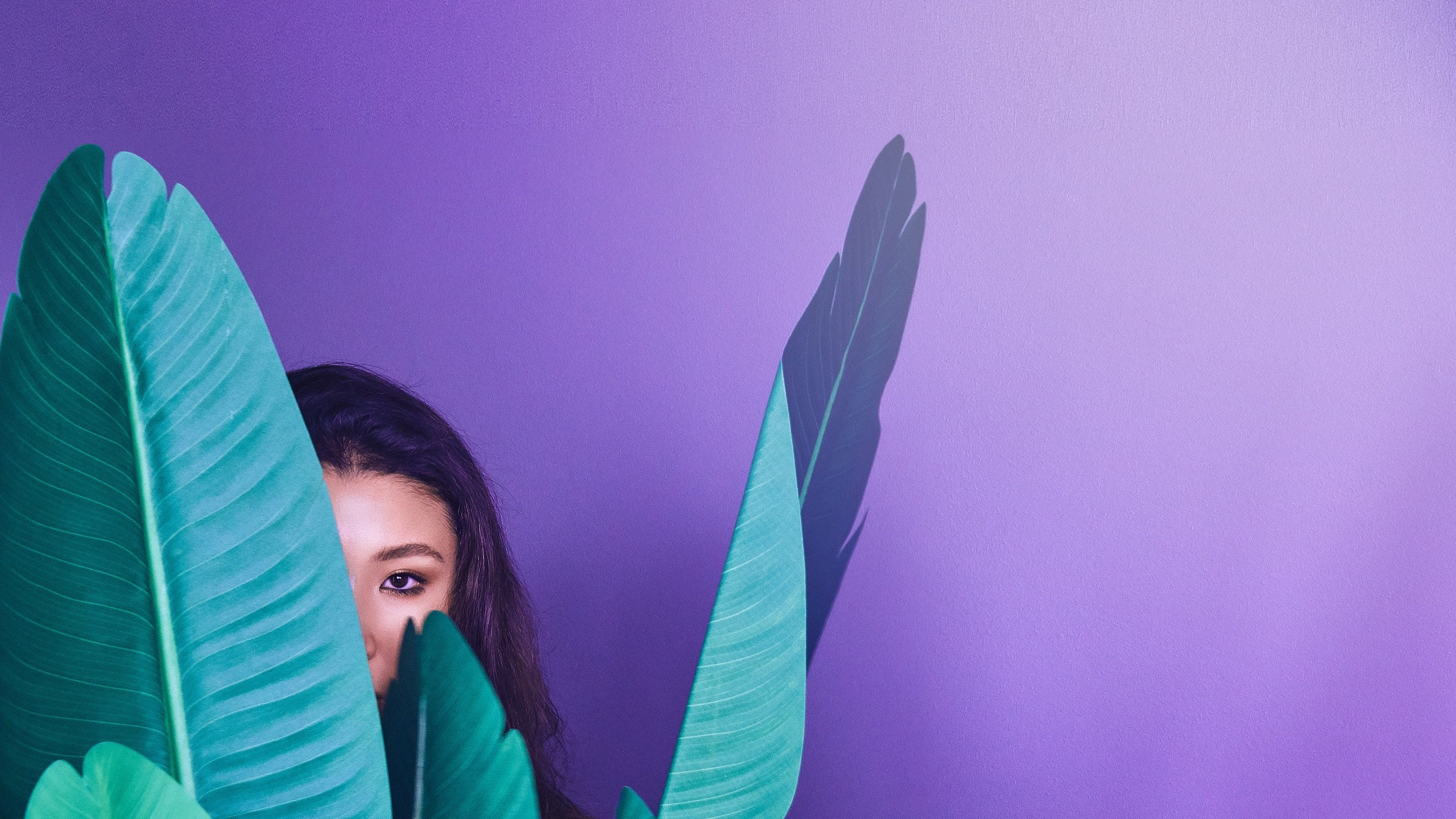 Сайт в процессе разработки