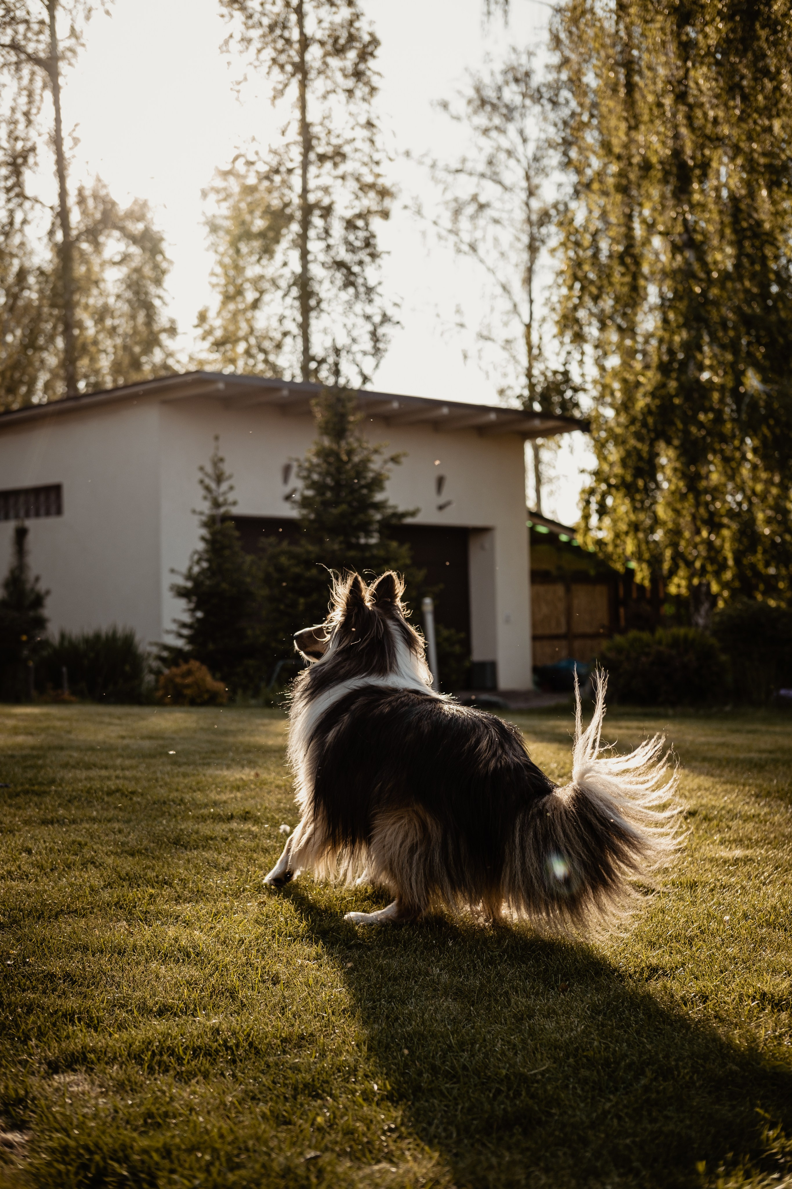1. Свадебный фотограф Челябинск