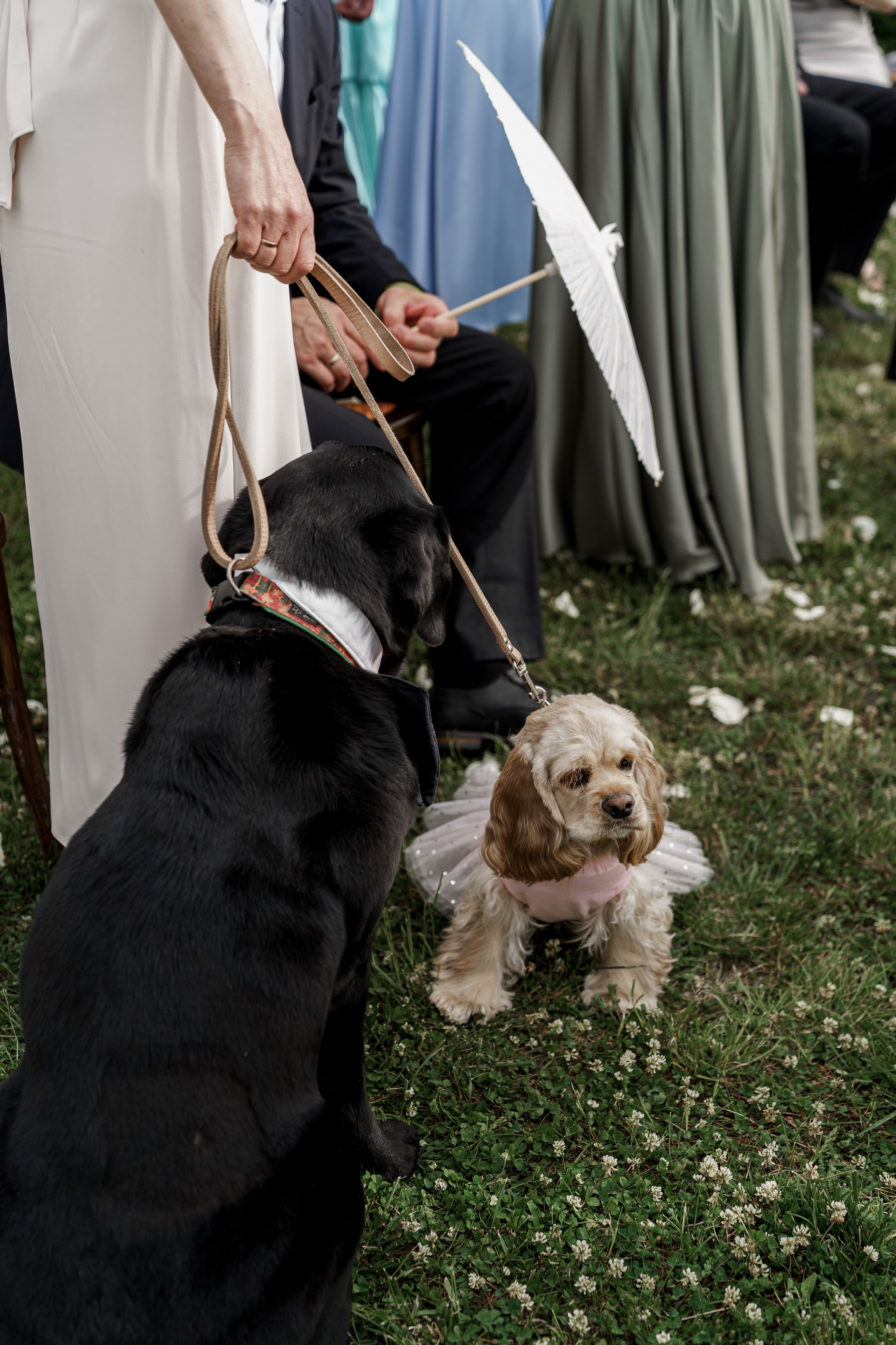Кахетия: Семён и Лейла. Свадебный и индивидуальный фотограф Татьяна Гуляева