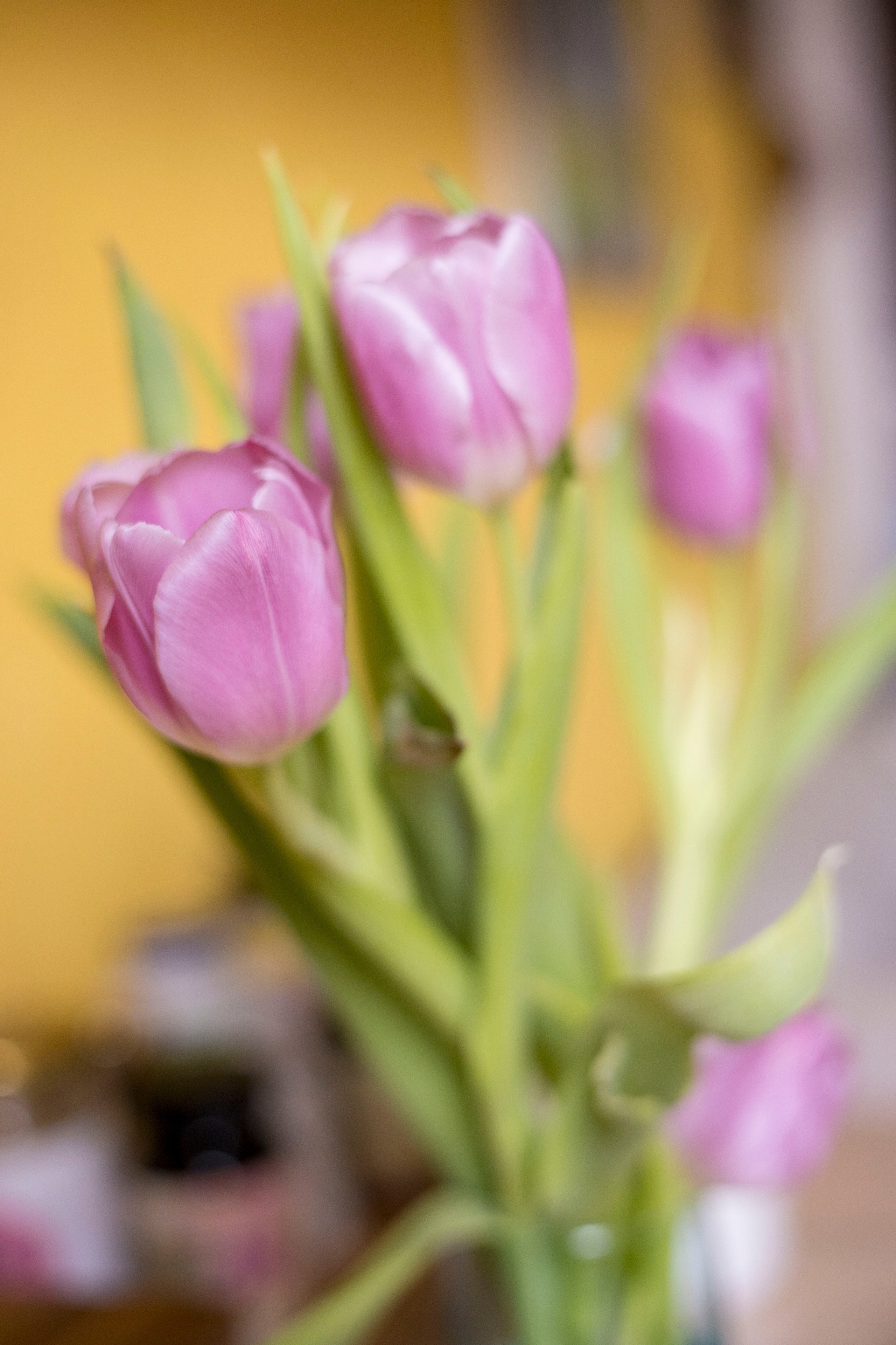 Разности. Портретный и семейный фотограф Санкт-Петербург