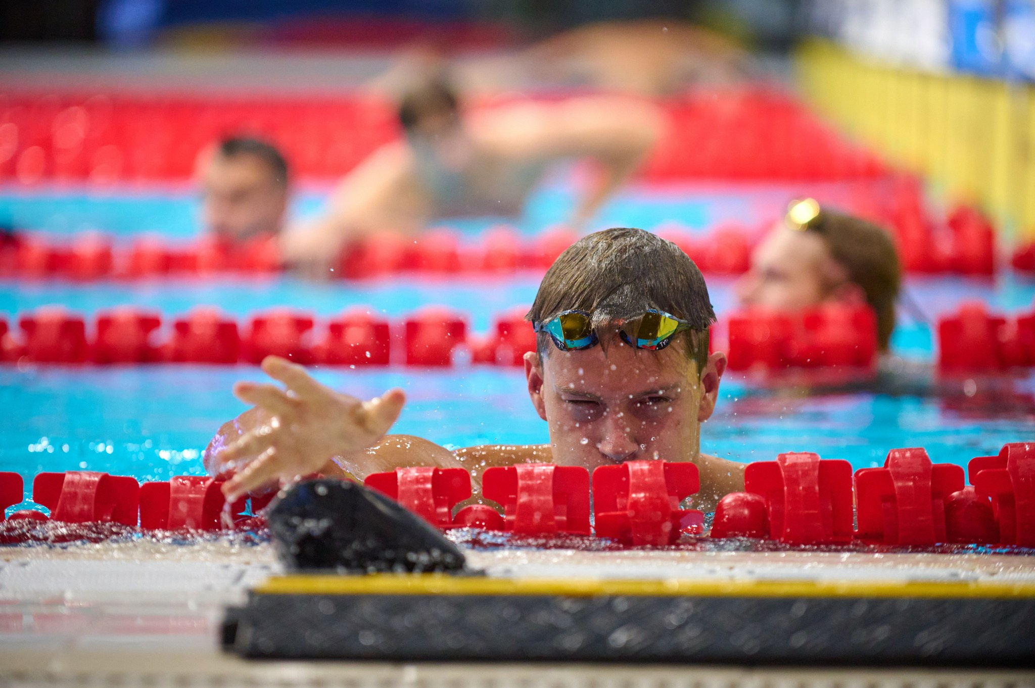 Кубок России по плаванию 2024 г. Екатеринбург. Мезенцев Евгений фотограф