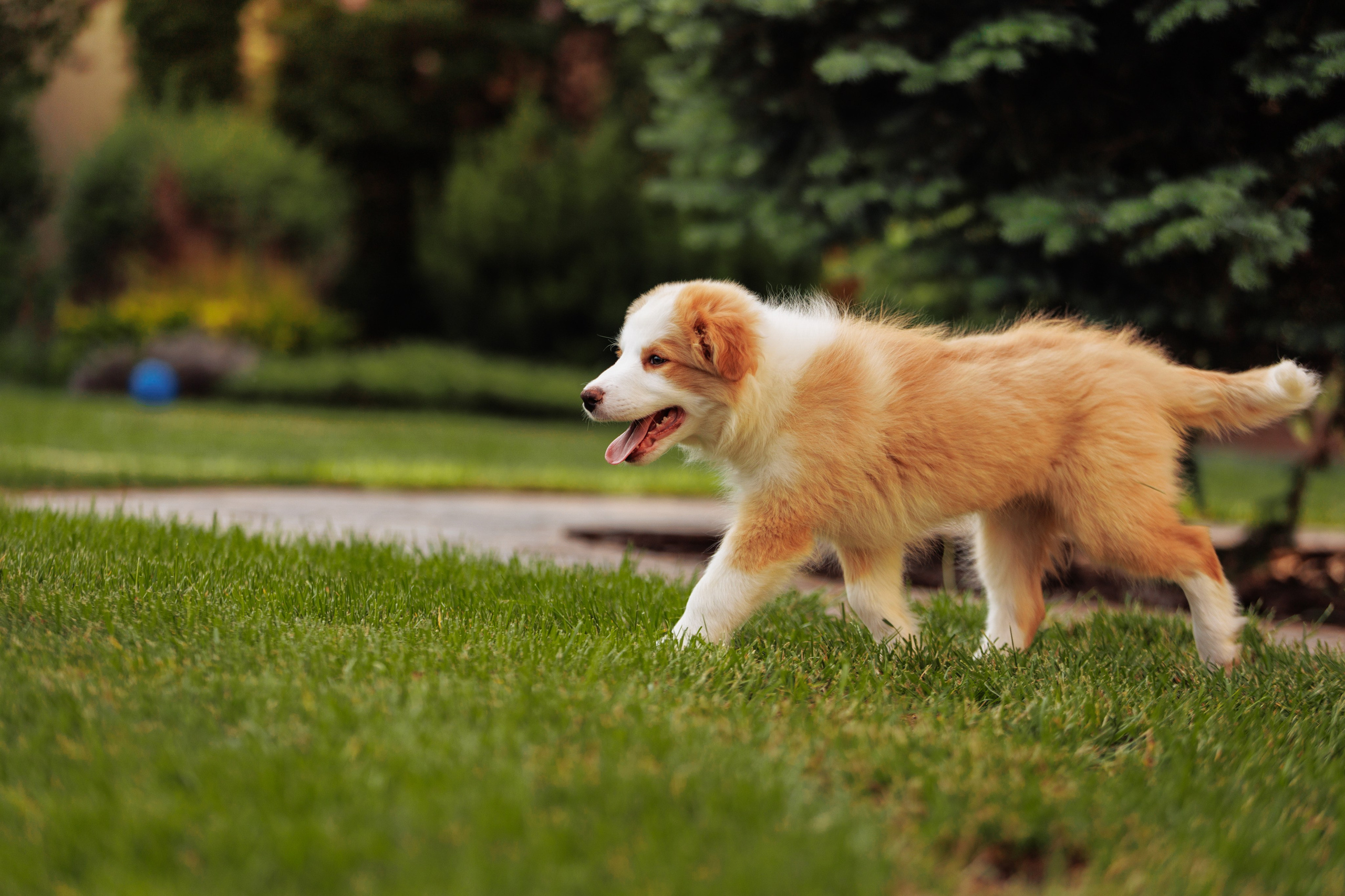 СОлнечные. О нас