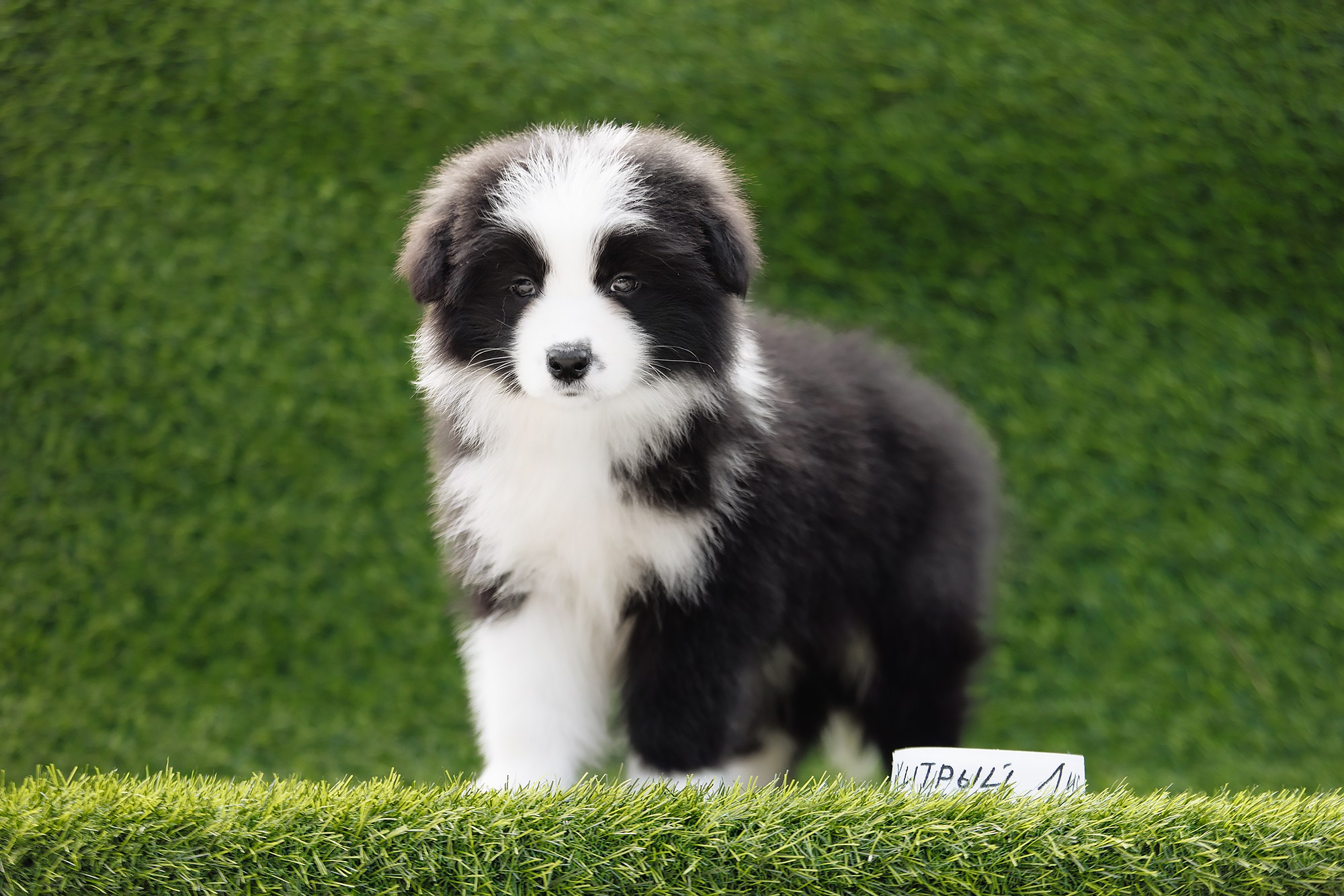 Новый лист. О нас