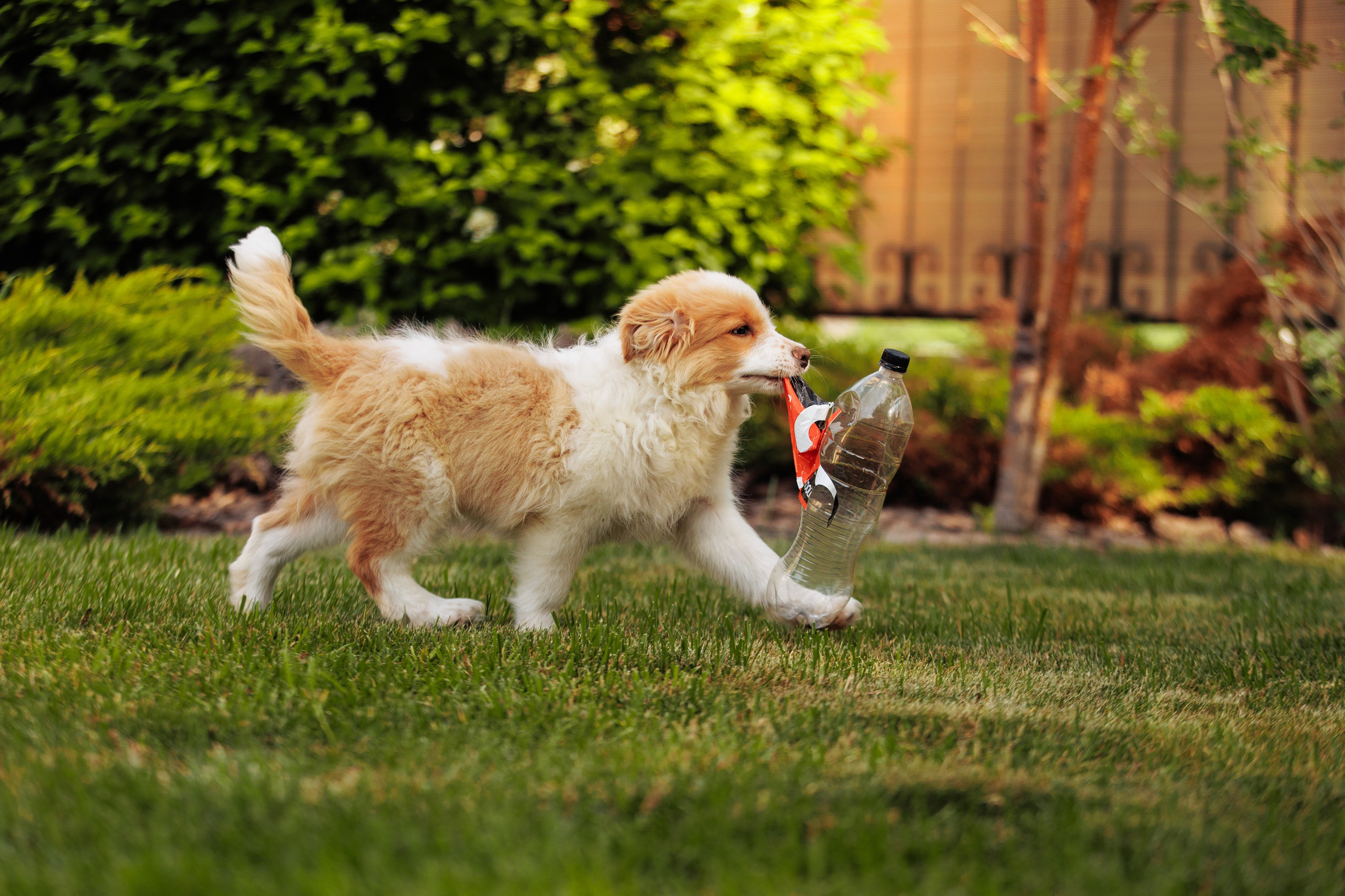 СОлнечные. О нас