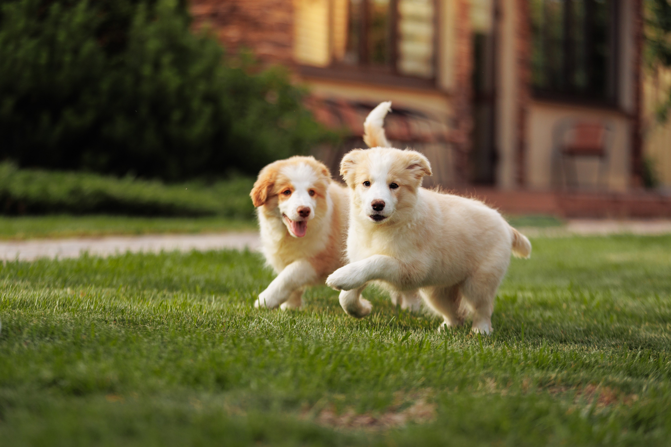 СОлнечные. О нас