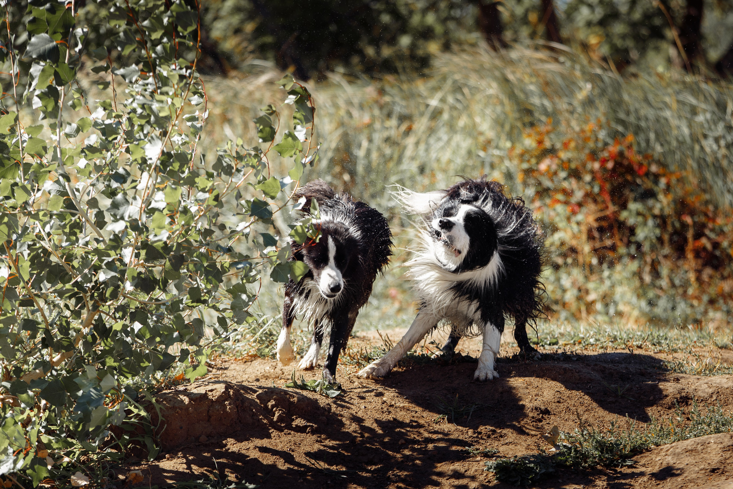 Водяные в Новотроицке. О нас