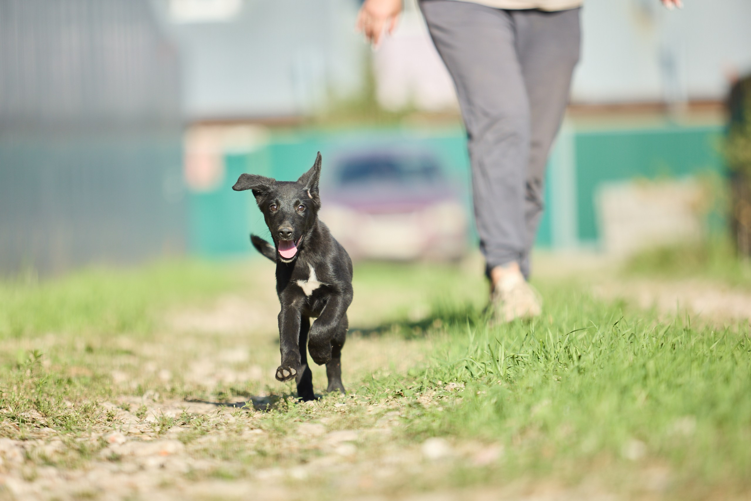 Пиар. Фотограф Ирина Астор