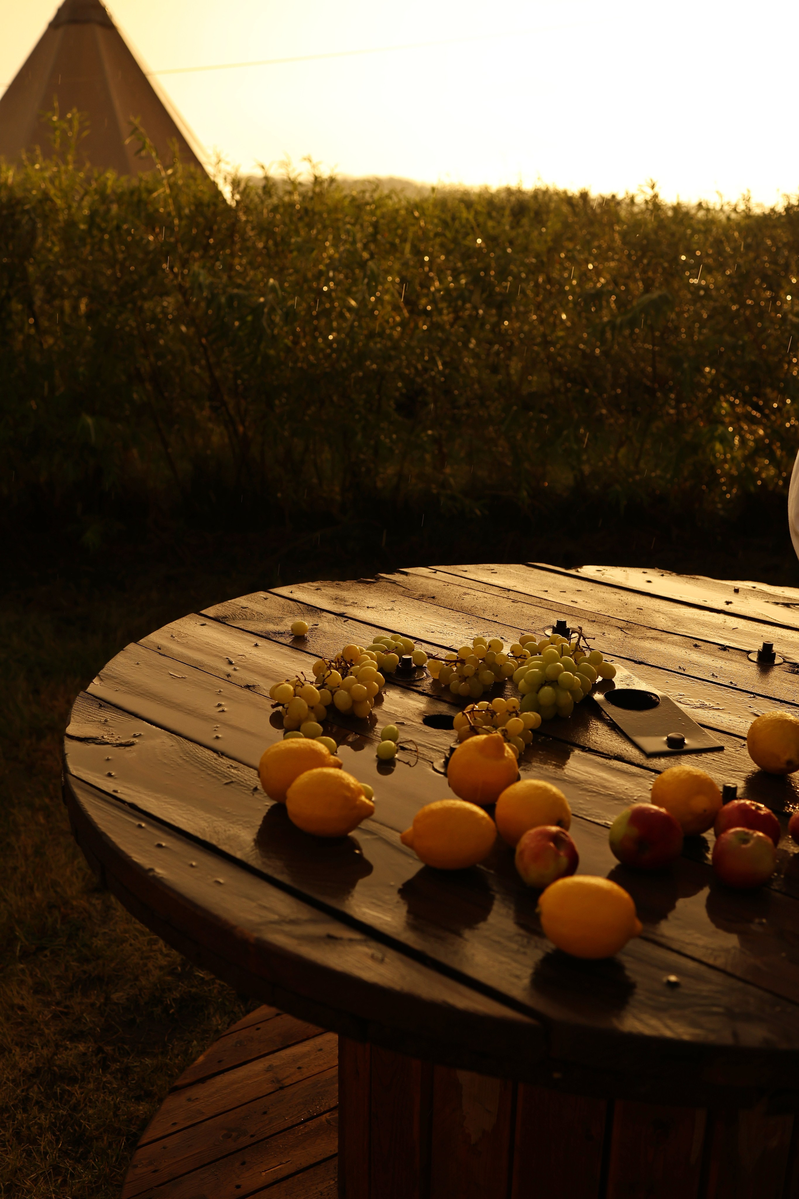 Лавстори в Сыч. Свадебный и семейный фотограф в Воронеже Ксения Воротникова