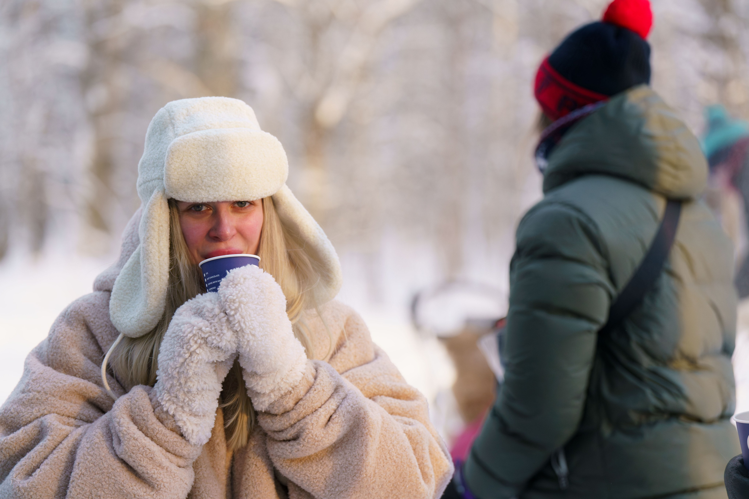 Катания на упряжке. Фотограф-анималист в Санкт-Петербурге
