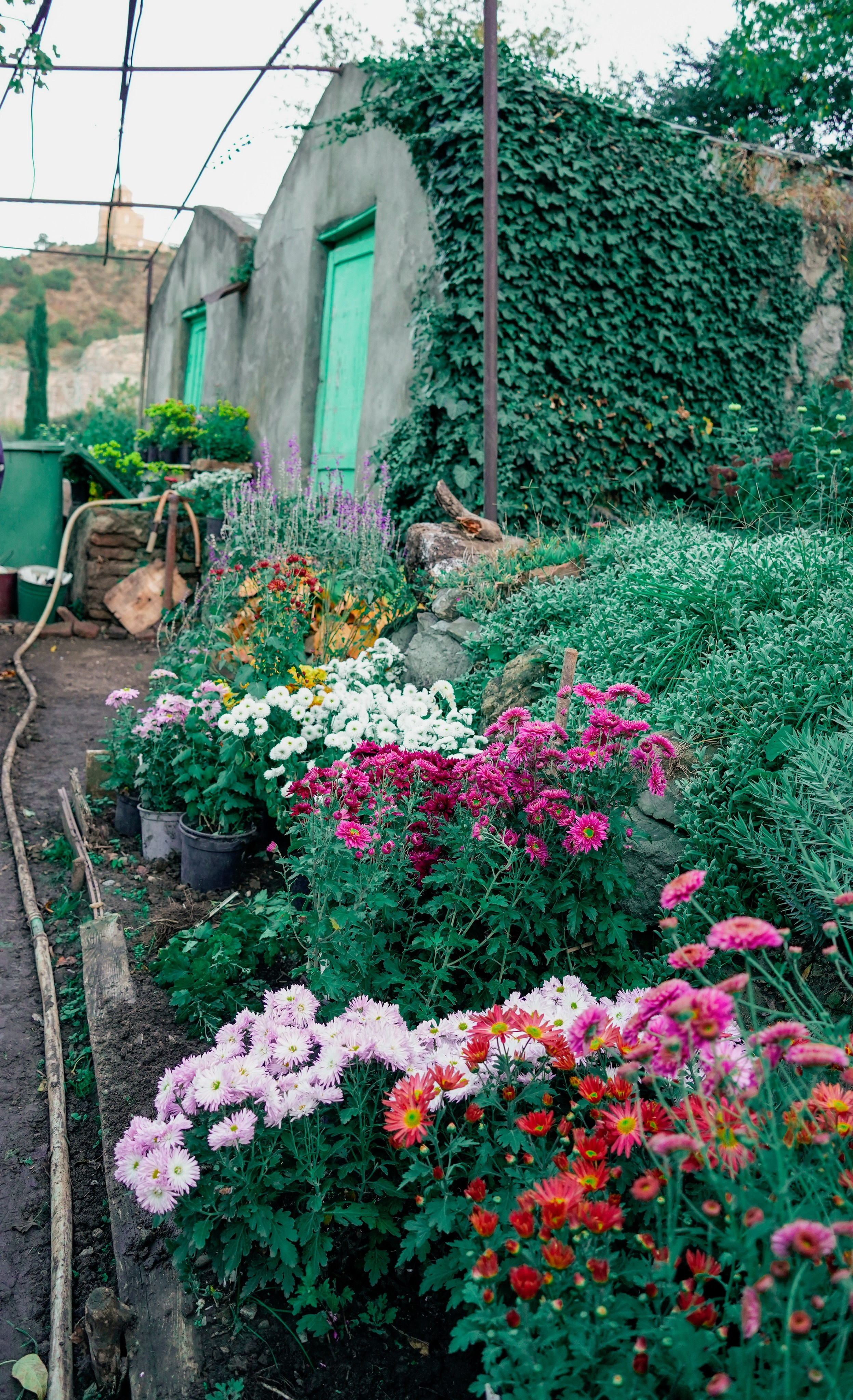 СЕРГЕЙ | БОТАНИЧЕСКИЙ САД ТБИЛИСИ. Photographer Barcelona