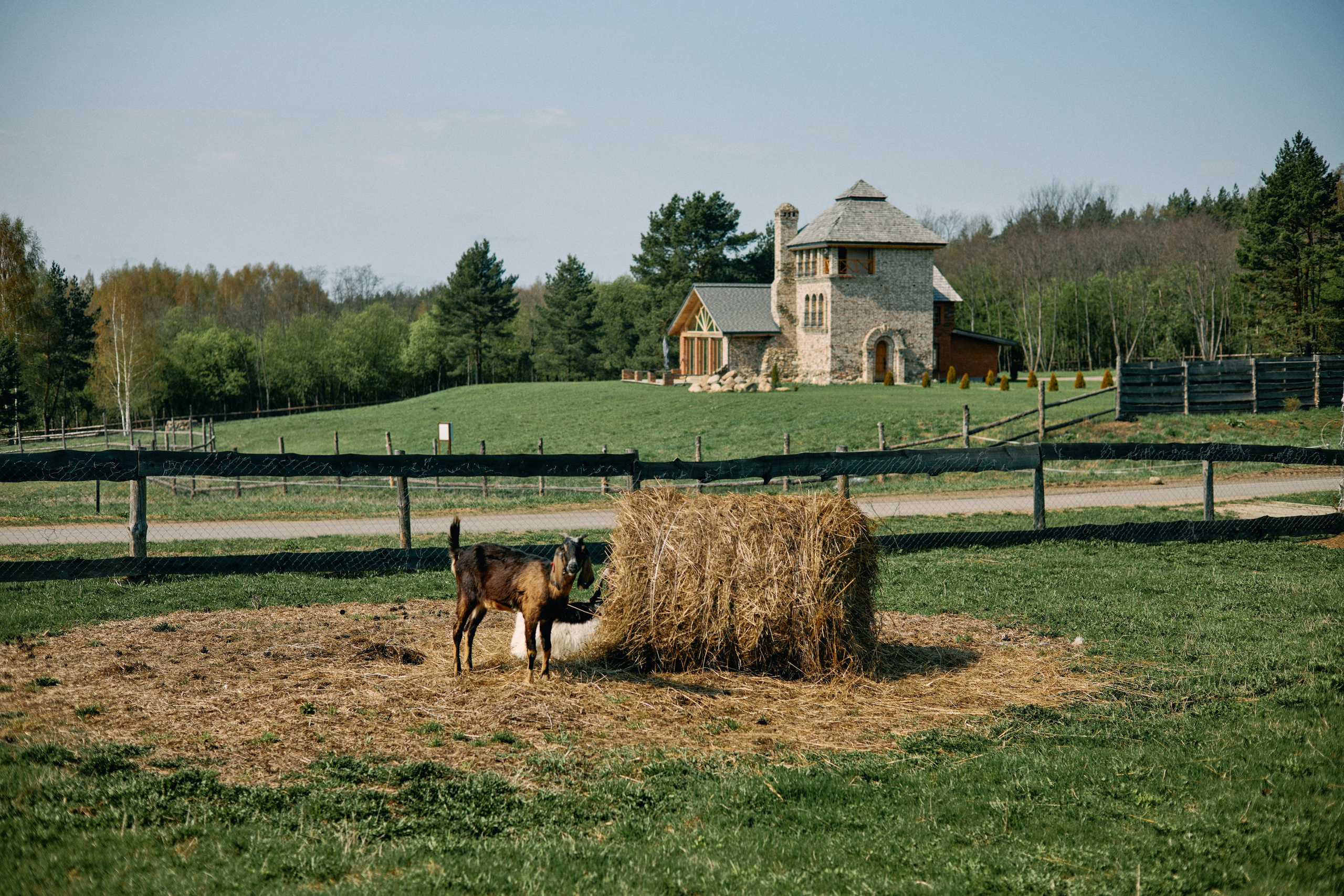 Бутик-отель Поле летом. Профессиональный Фотограф во Владимире, в Москве и в Суздале — Полина Романычева