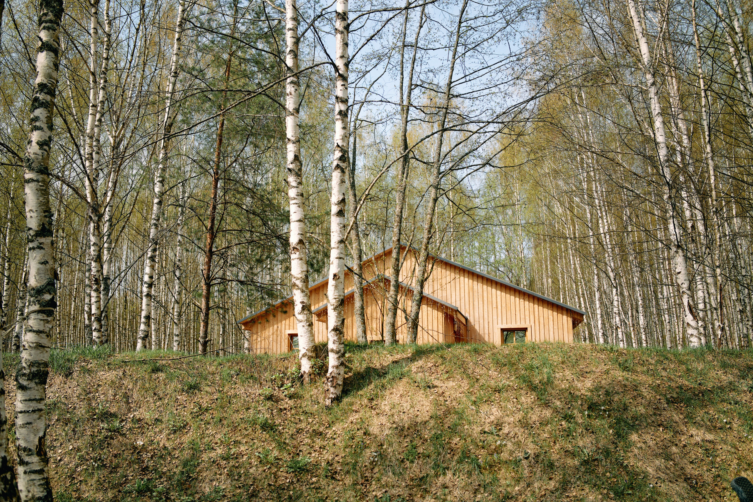 Бутик-отель Поле летом. Профессиональный Фотограф во Владимире, в Москве и в Суздале — Полина Романычева