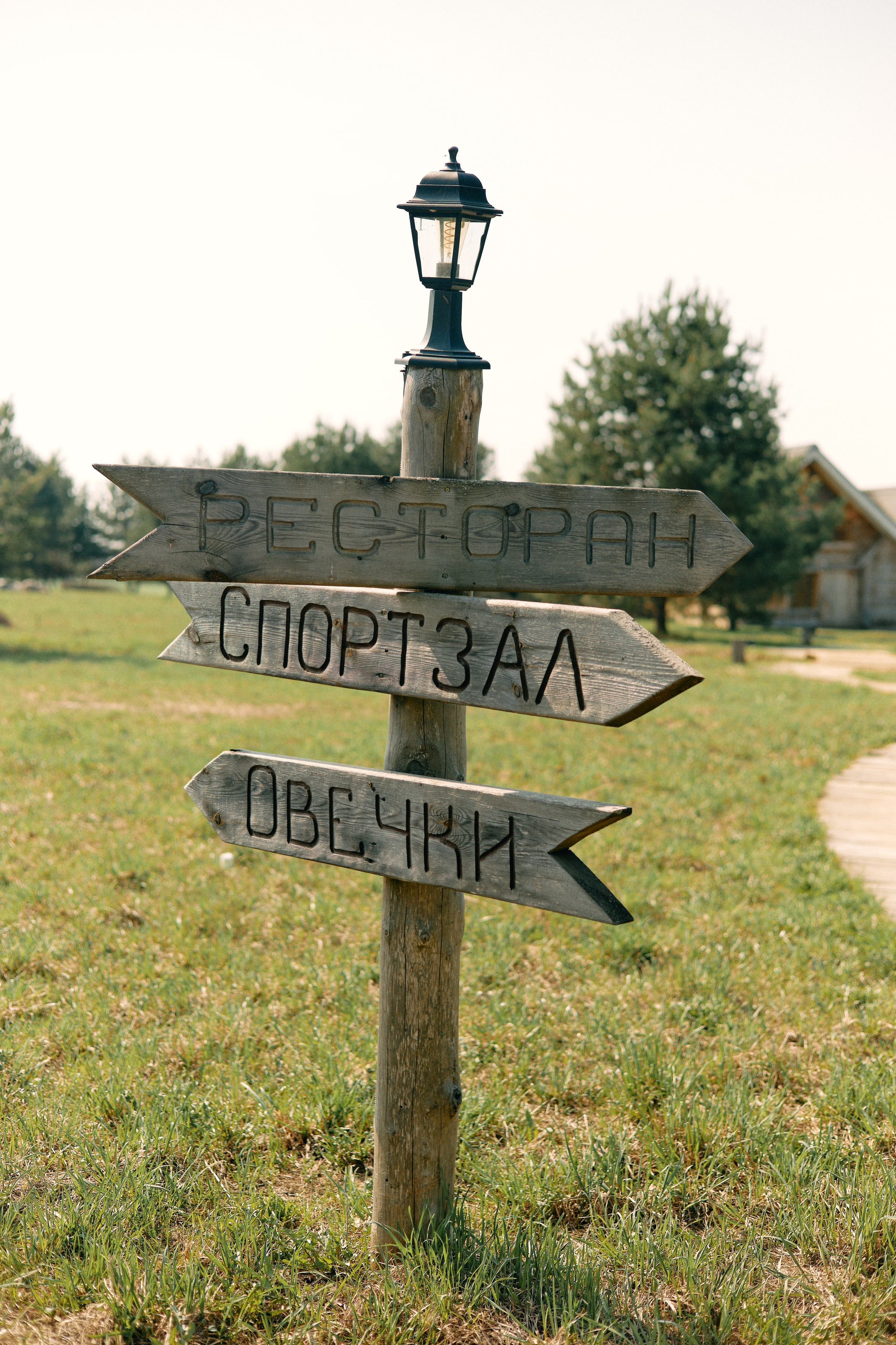 Бутик-отель Поле летом. Профессиональный Фотограф во Владимире, в Москве и в Суздале — Полина Романычева