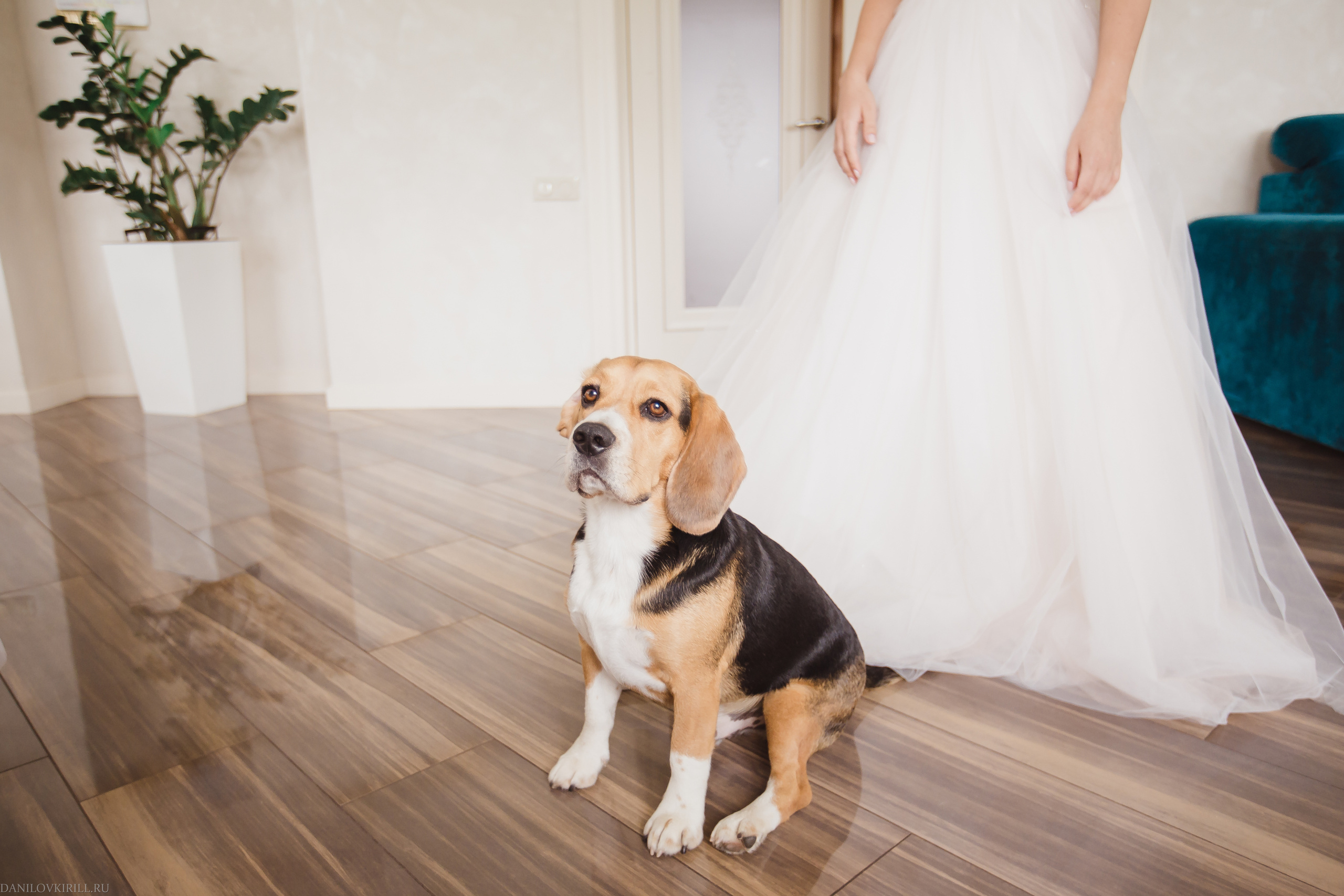 Ivan & Ekaterina. Wedding photographer in California