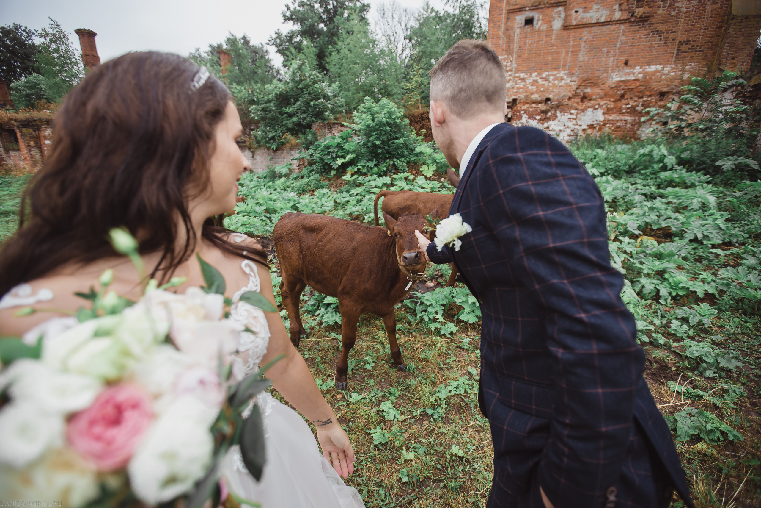 Ivan & Ekaterina. Wedding photographer in California