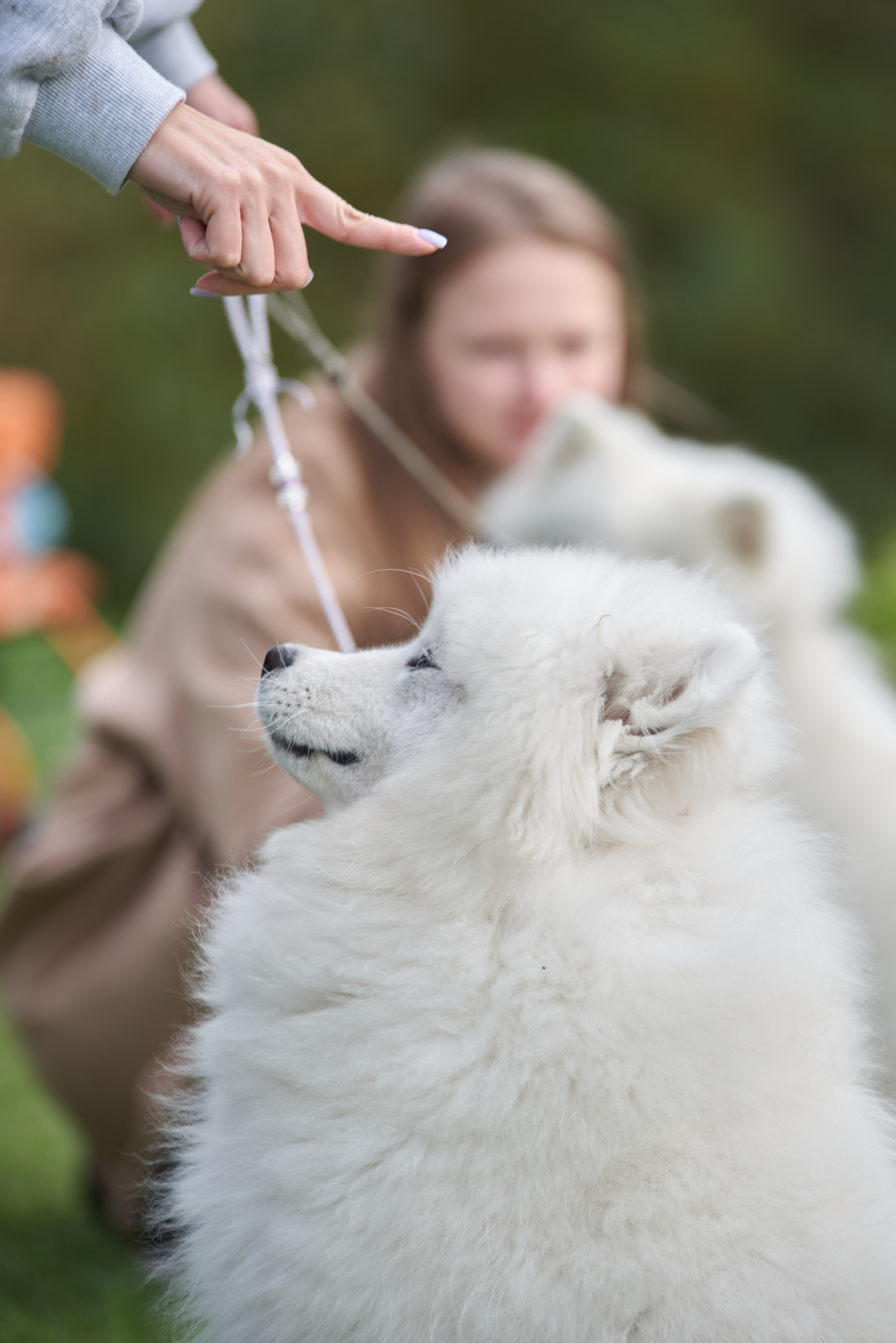 ДЕНЬ МАЛЕНЬКОГО НЕФТЯНИКА 2024 РН-ВАНКОР. Фотограф Москва Concerts photo / Fashion photо