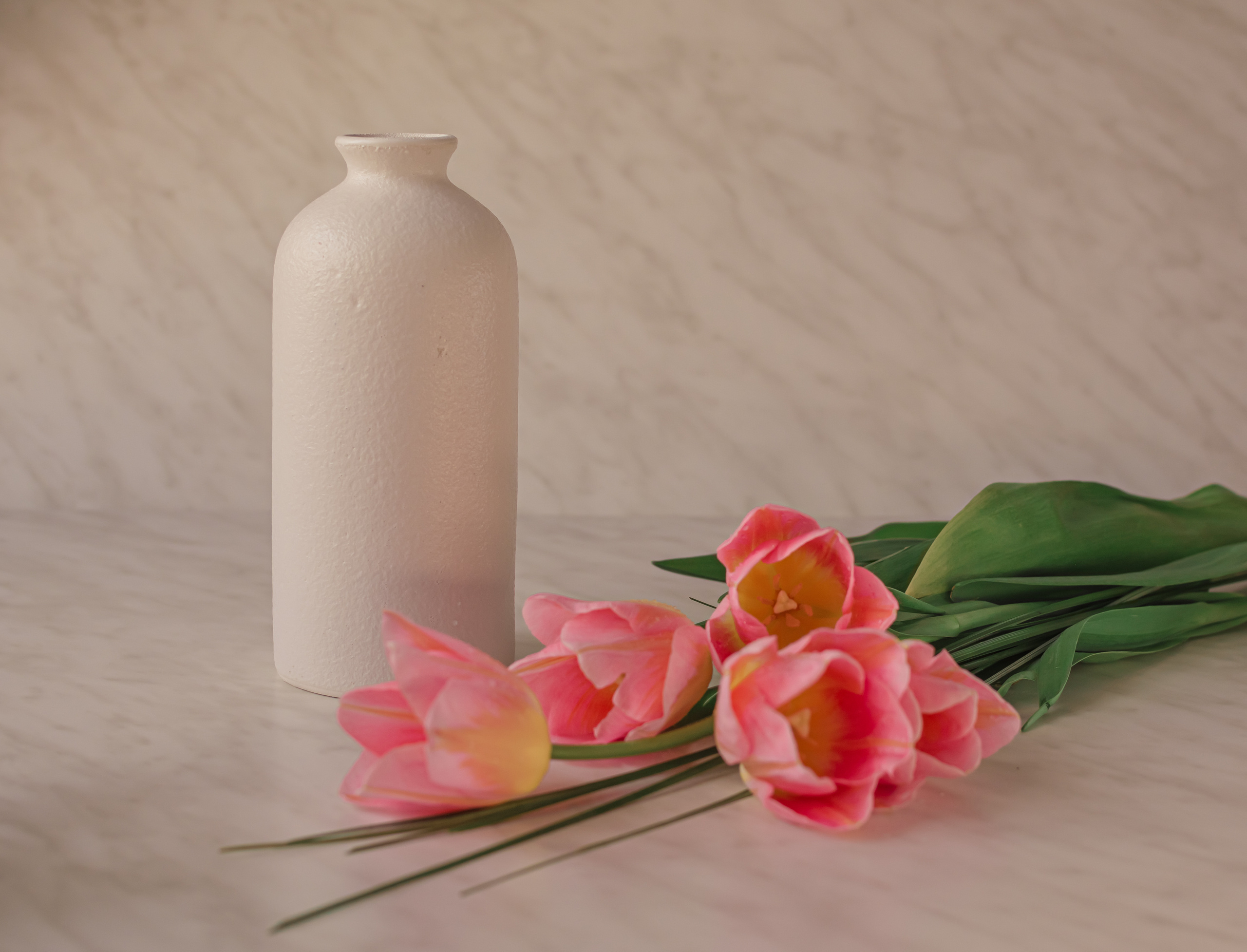 Атмосфера. Предметный и контентный фотограф в Москве и Зеленограде Анастасиевская