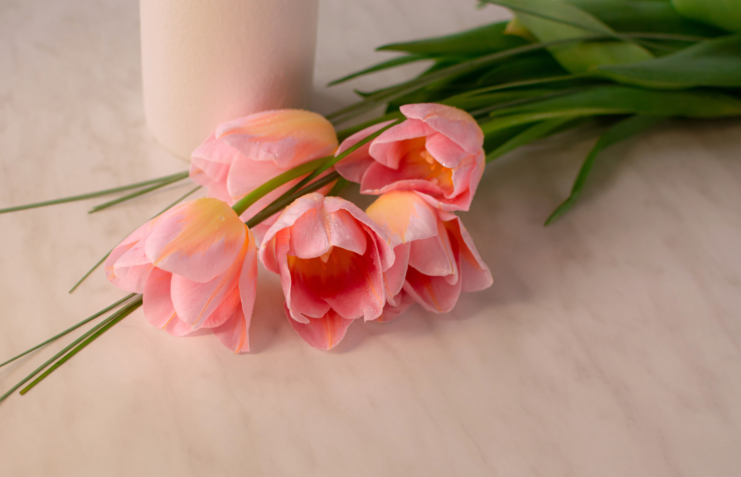 Атмосфера. Предметный и контентный фотограф в Москве и Зеленограде Анастасиевская