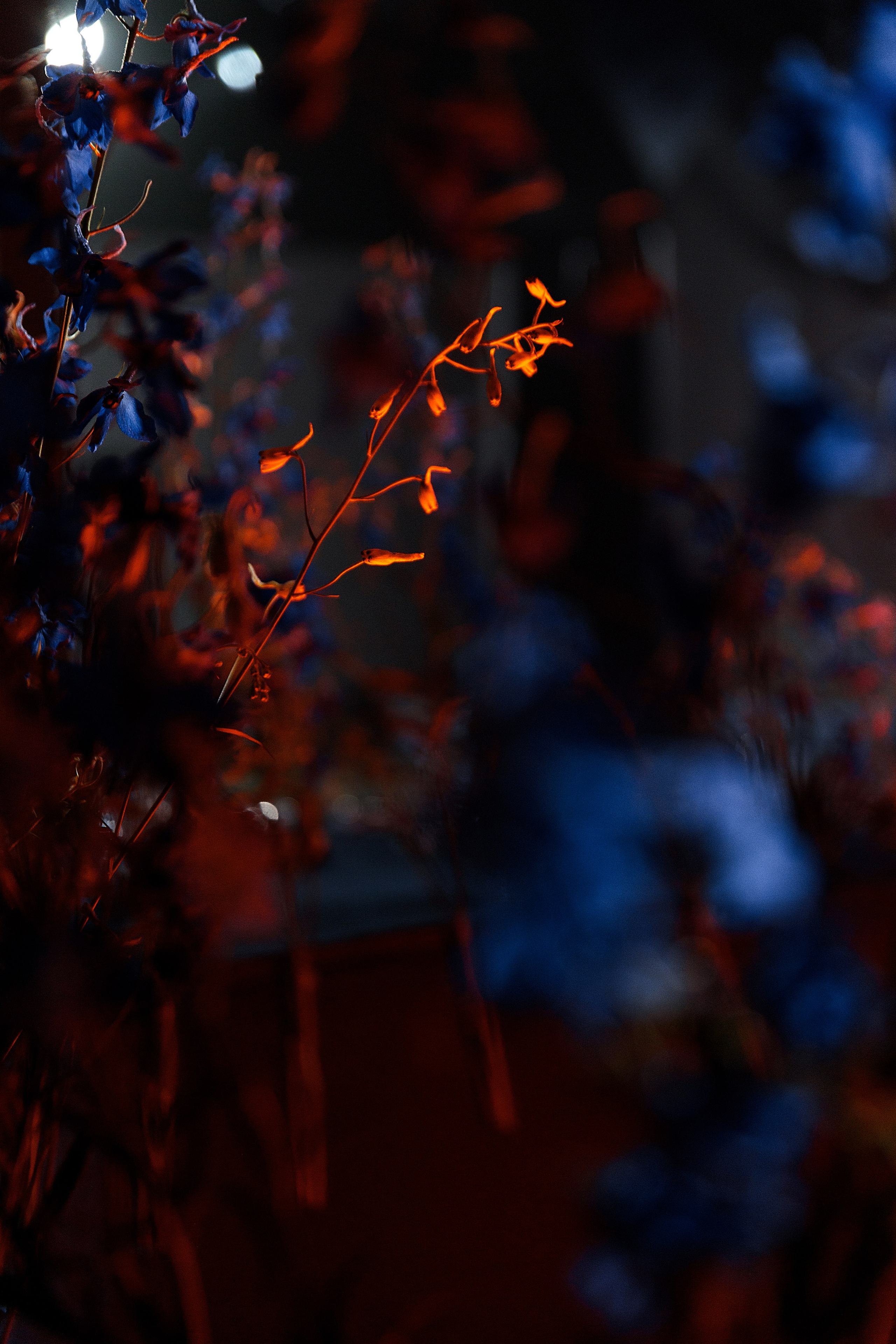 Дима и Диана. Свадебный и семейный фотограф Алимова Леся