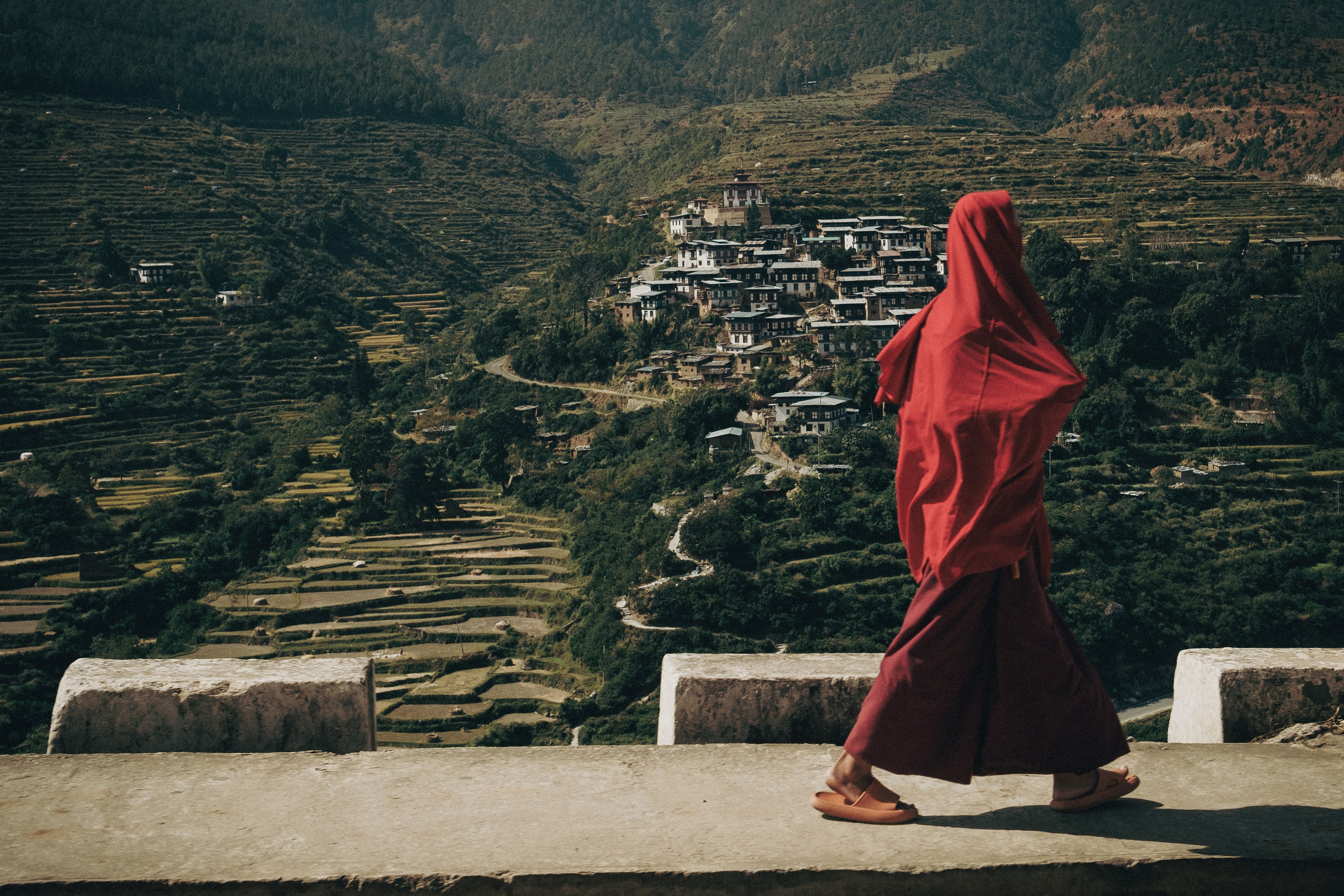 Bhutan. Dmitry Ippolitov
