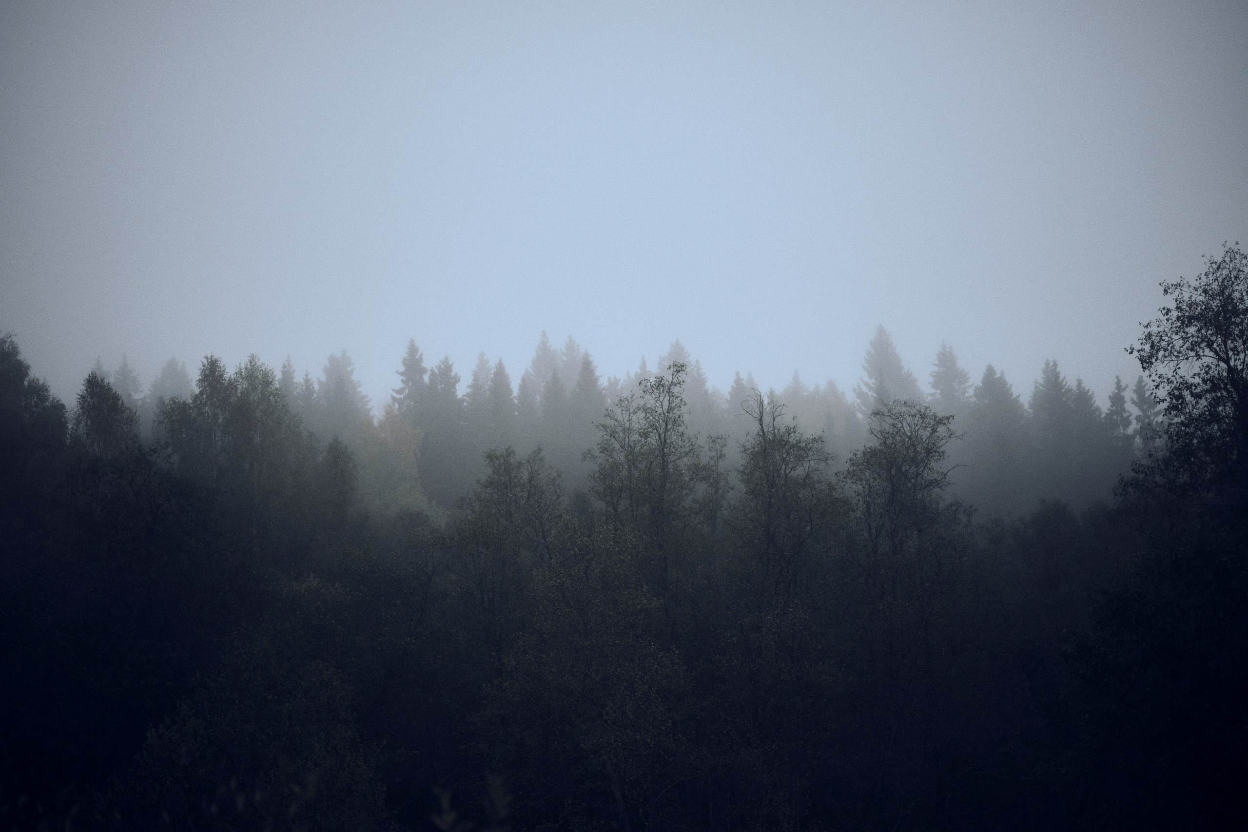 Other. Dmitry Ippolitov