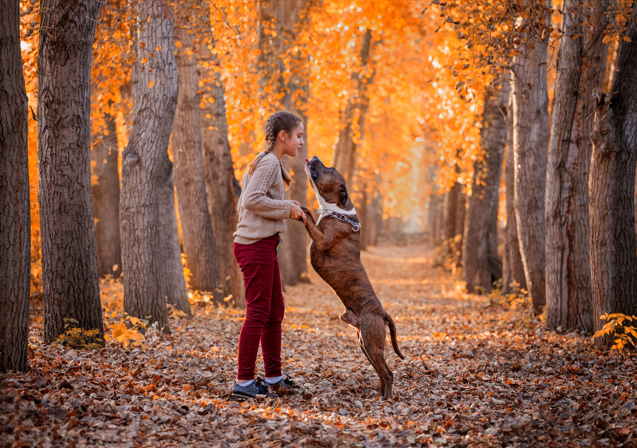 Детский фотограф в Омске Светлана Каритун.  Детская фотосессия в Омске. Семейный и детский фотограф в Омске Светлана Каритун