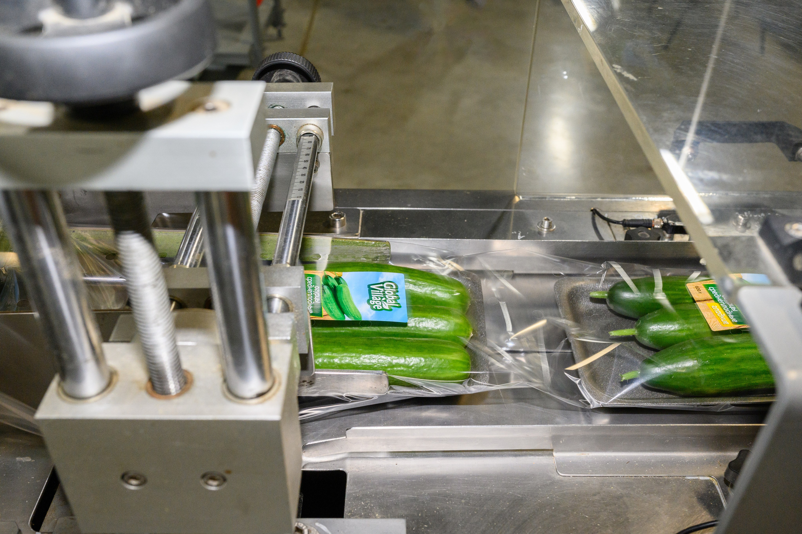 Тепличный комплекс «ПЕРМСКИЙ»