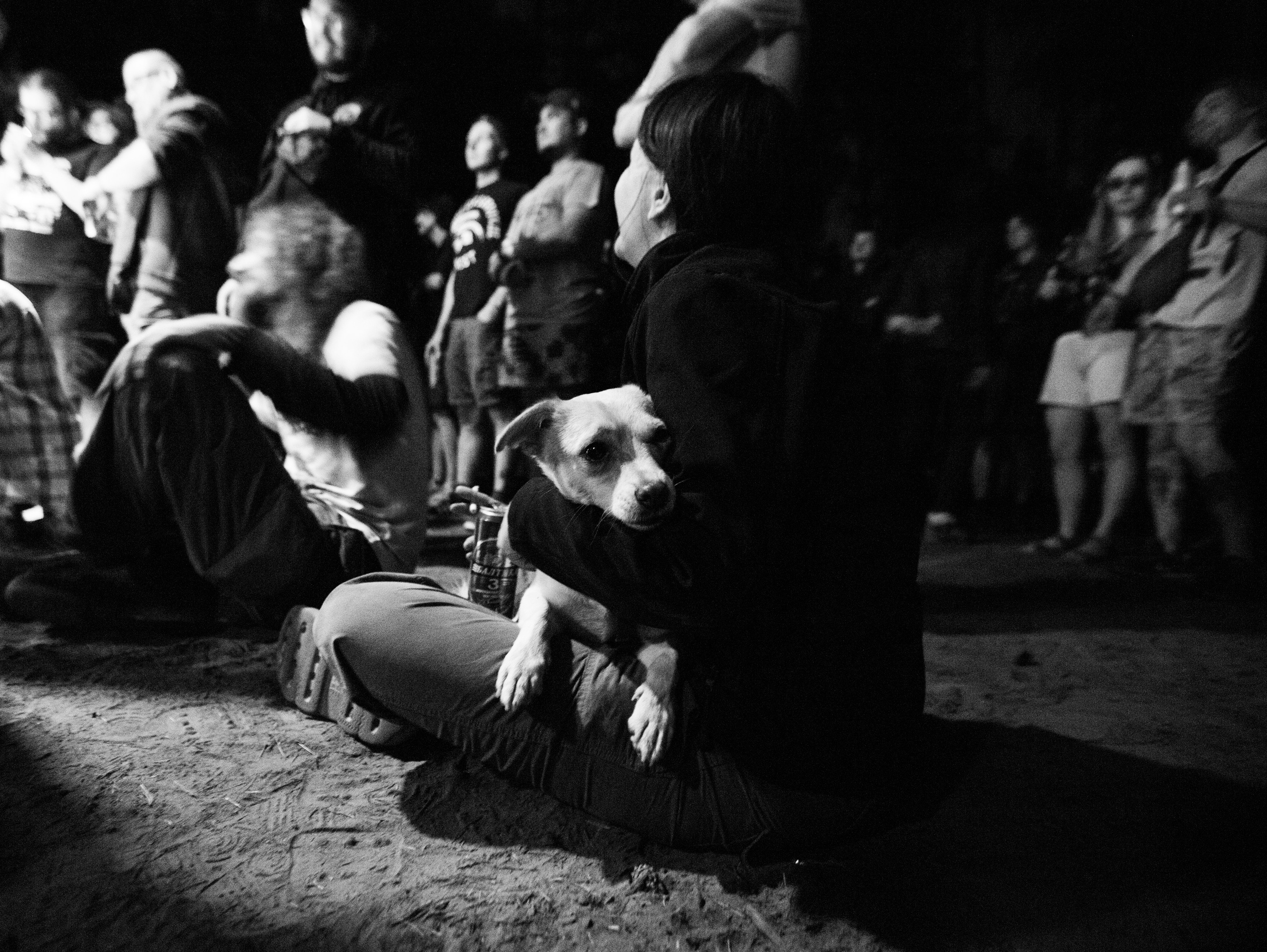 Noway festival 2024. Фотограф Мария Немм