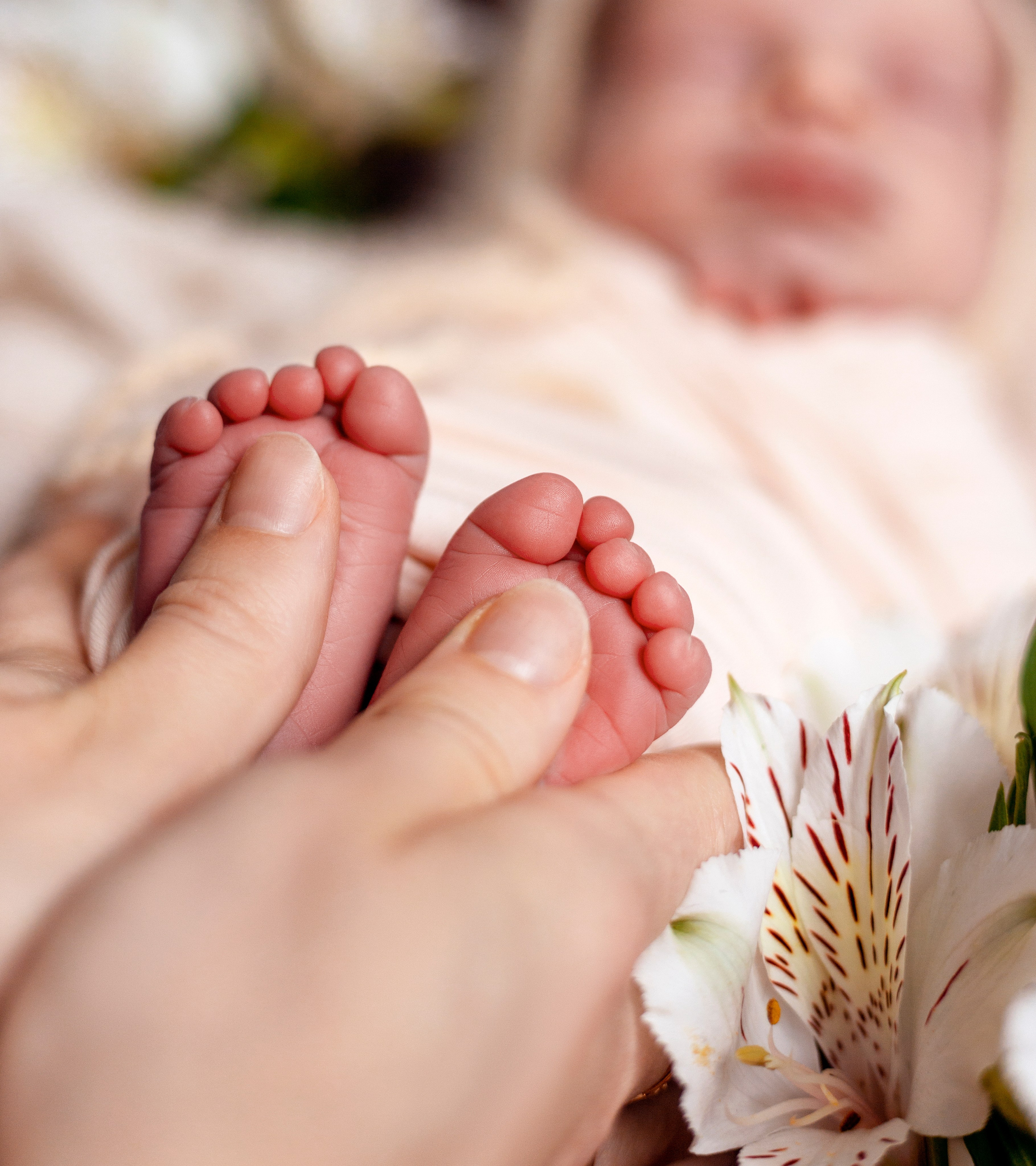 Новорождённые. Фотограф беременных и новорождённых в Краснодаре