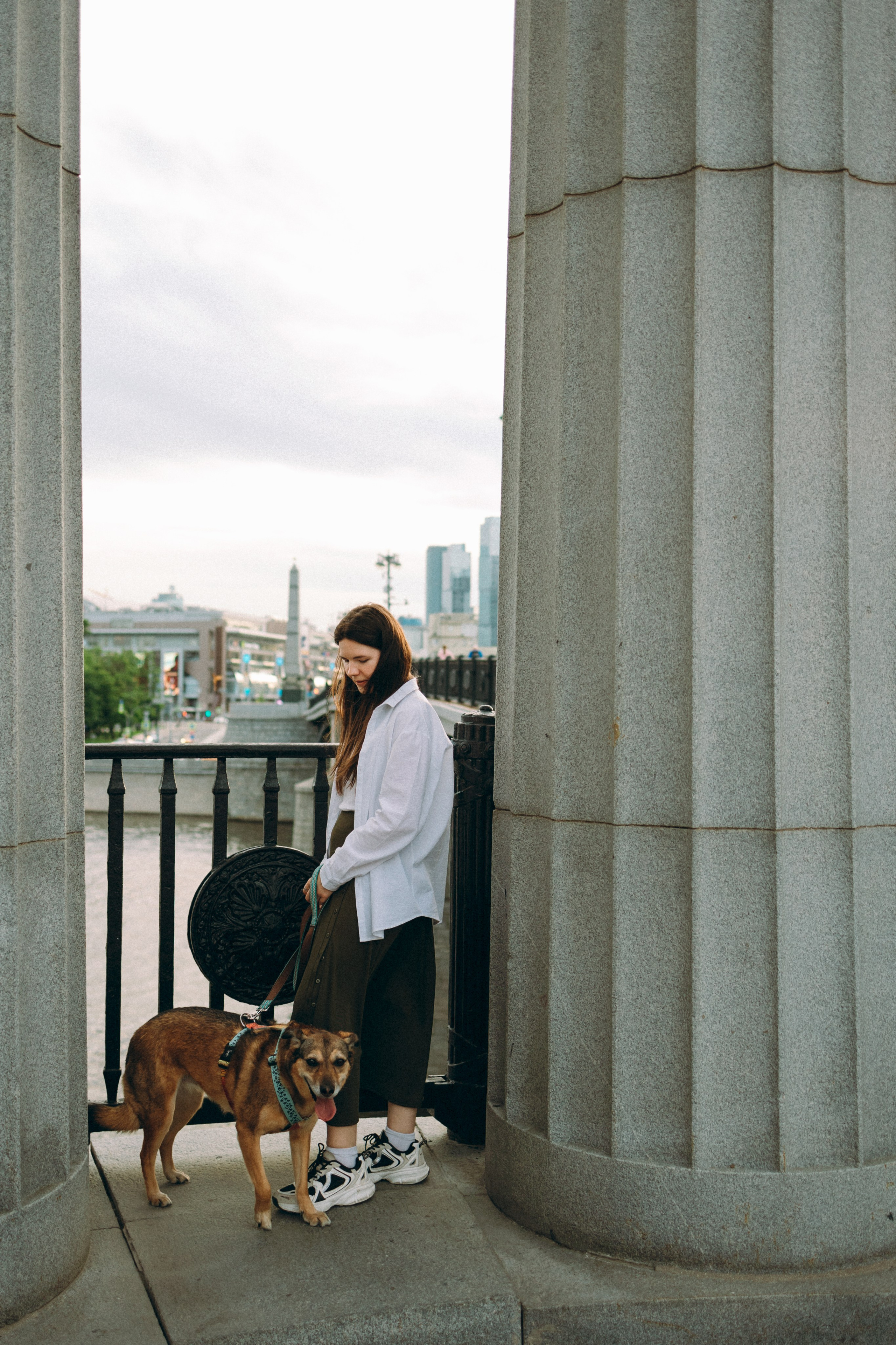 Глаша, Айрон, Ксюша и Оля. Фотограф анималист Анастасия Пикей