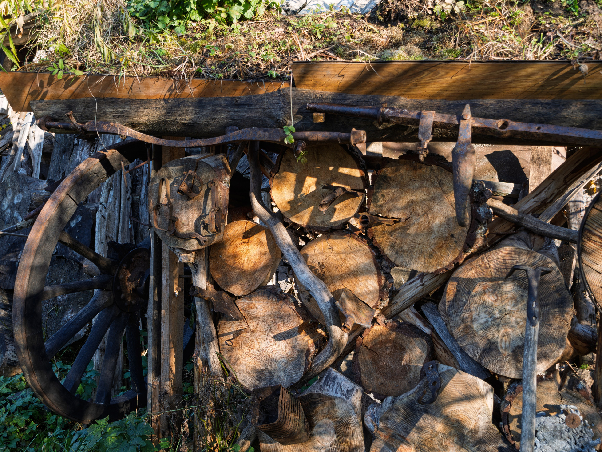 Голубые озера, Псковская область. Октябрь 2024. Фотограф Никифоров-Гордеев Сергей. Москва и МО
