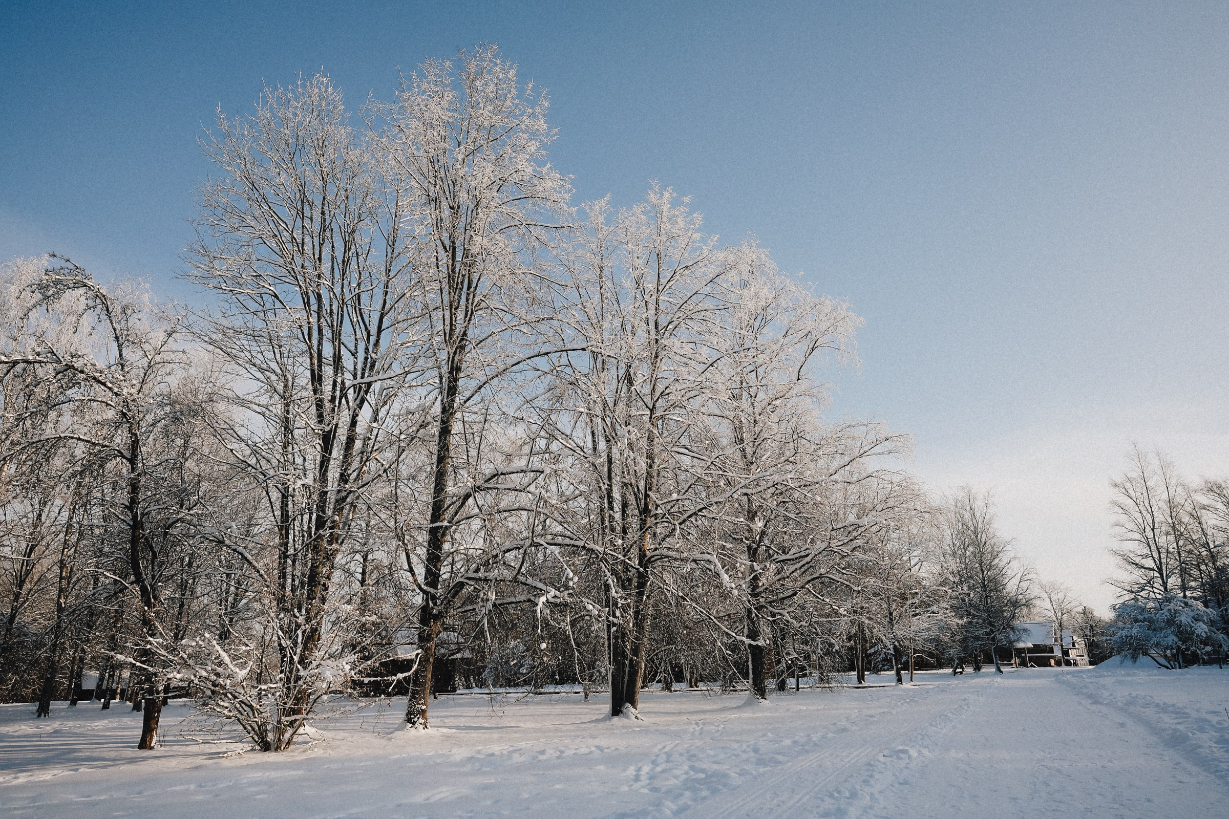/РЕПОРТАЖ/ NOVGOROD ICE 2025. Свадебный фотограф Великий Новгород Станислав Кособудский