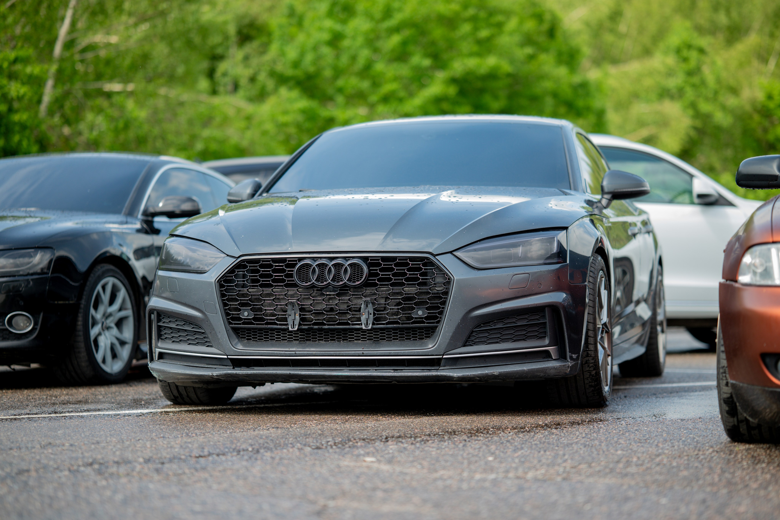 VAGBURG'25. Автомобильный фотограф Александра Рузиева aka Ju1cyFlex