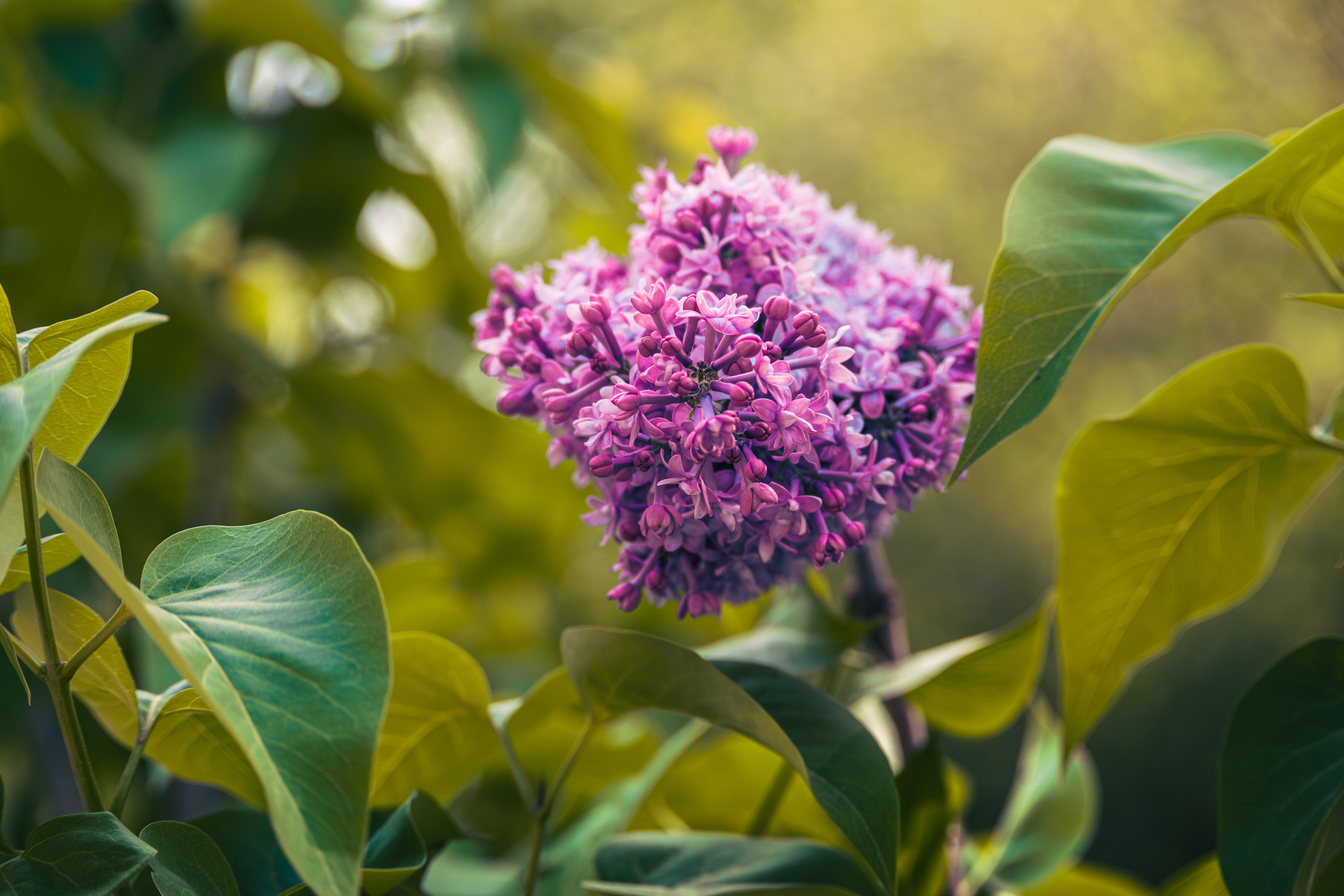 Окружение через объектив