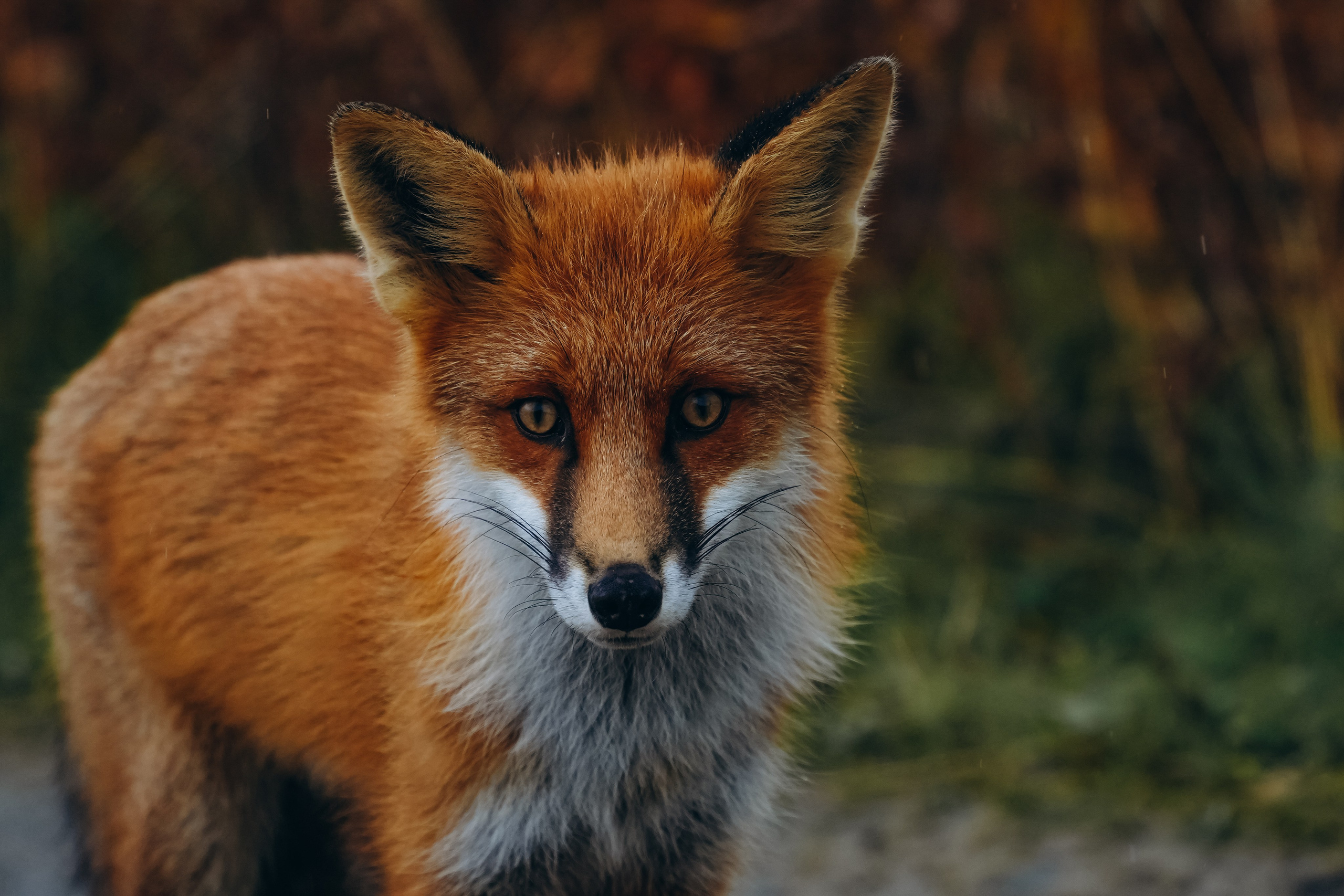 СЕВЕР. Event фотограф Степанова Александра