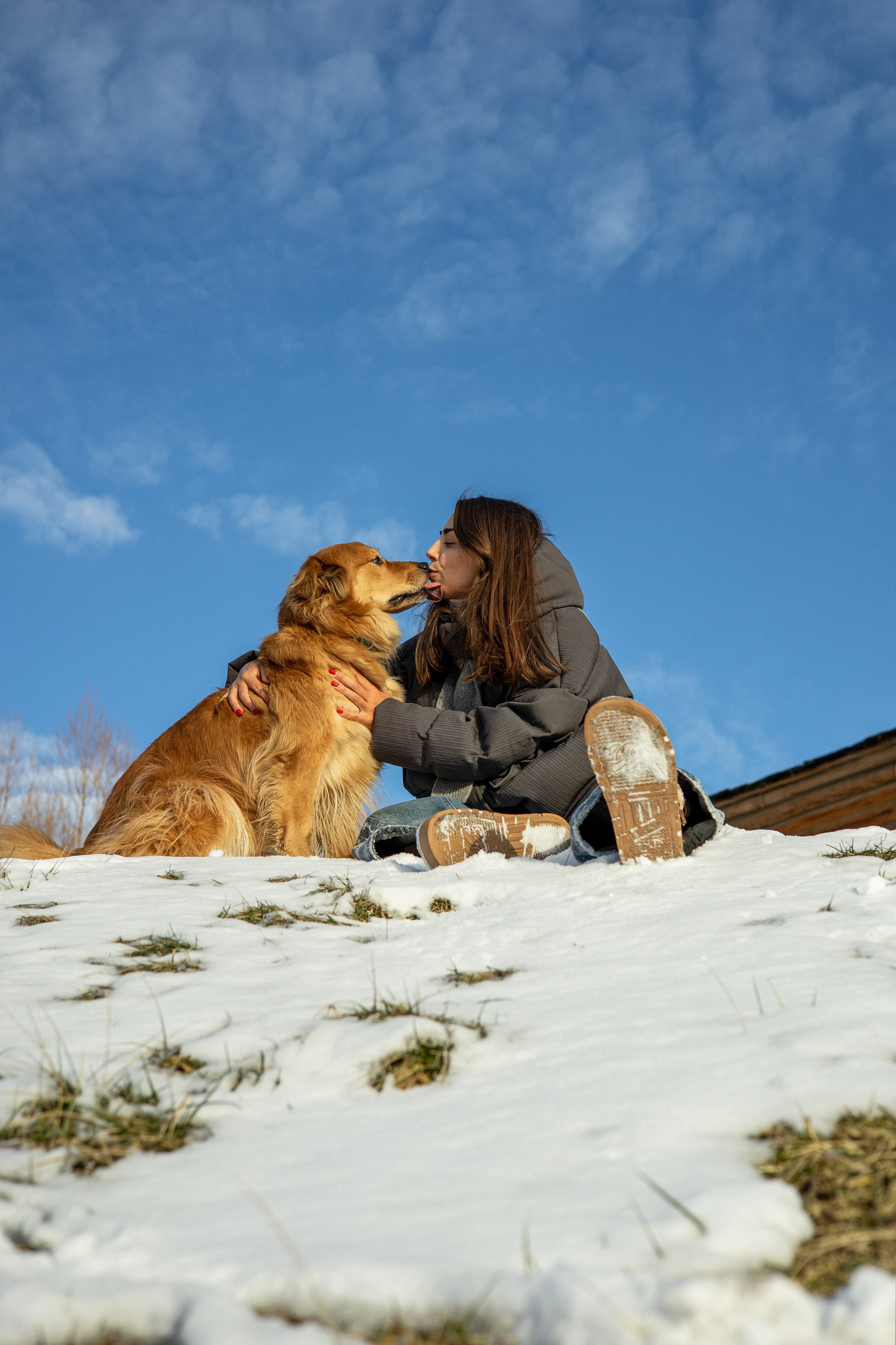 Рыж и Яна. Фотограф-анималист Ксения Шевцова|Москва