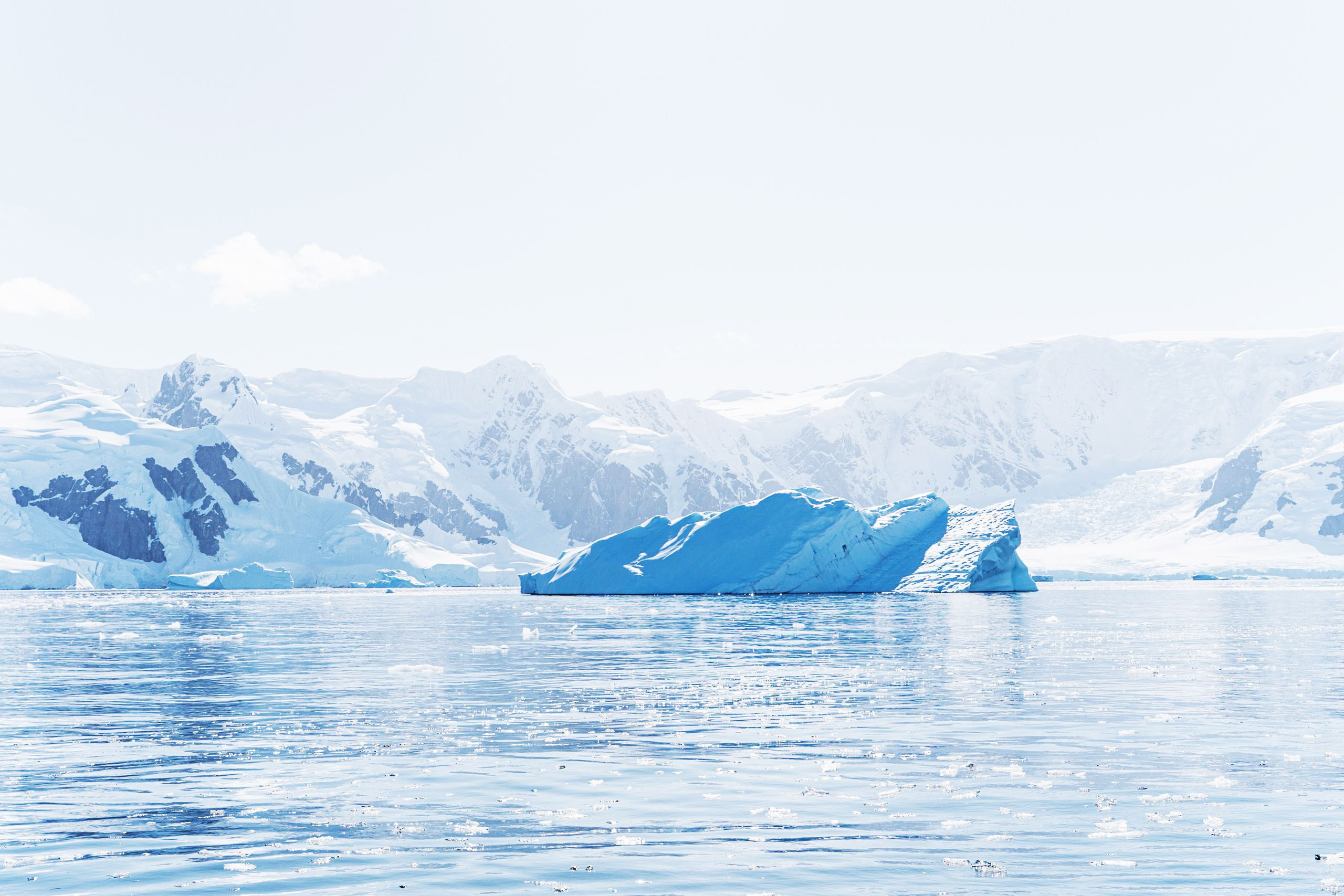 Природа. Медийный светский репортажный фотограф